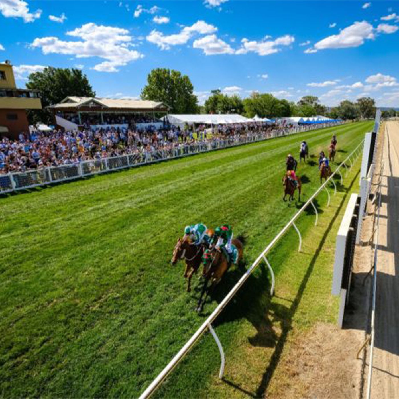 CEO Wodonga Racing Club Steve Wright  chats to Andrew Kuuse episode artwork