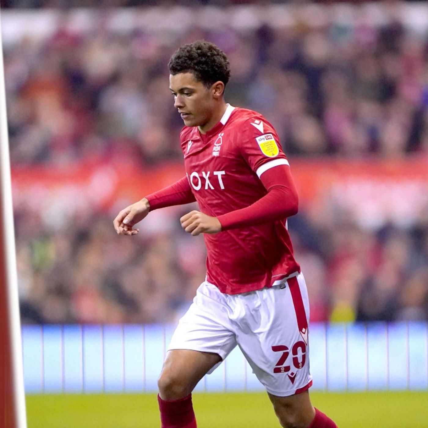 Garibaldi Red Transfer Update | BRENTFORD CHASE BRENNAN JOHNSON episode artwork