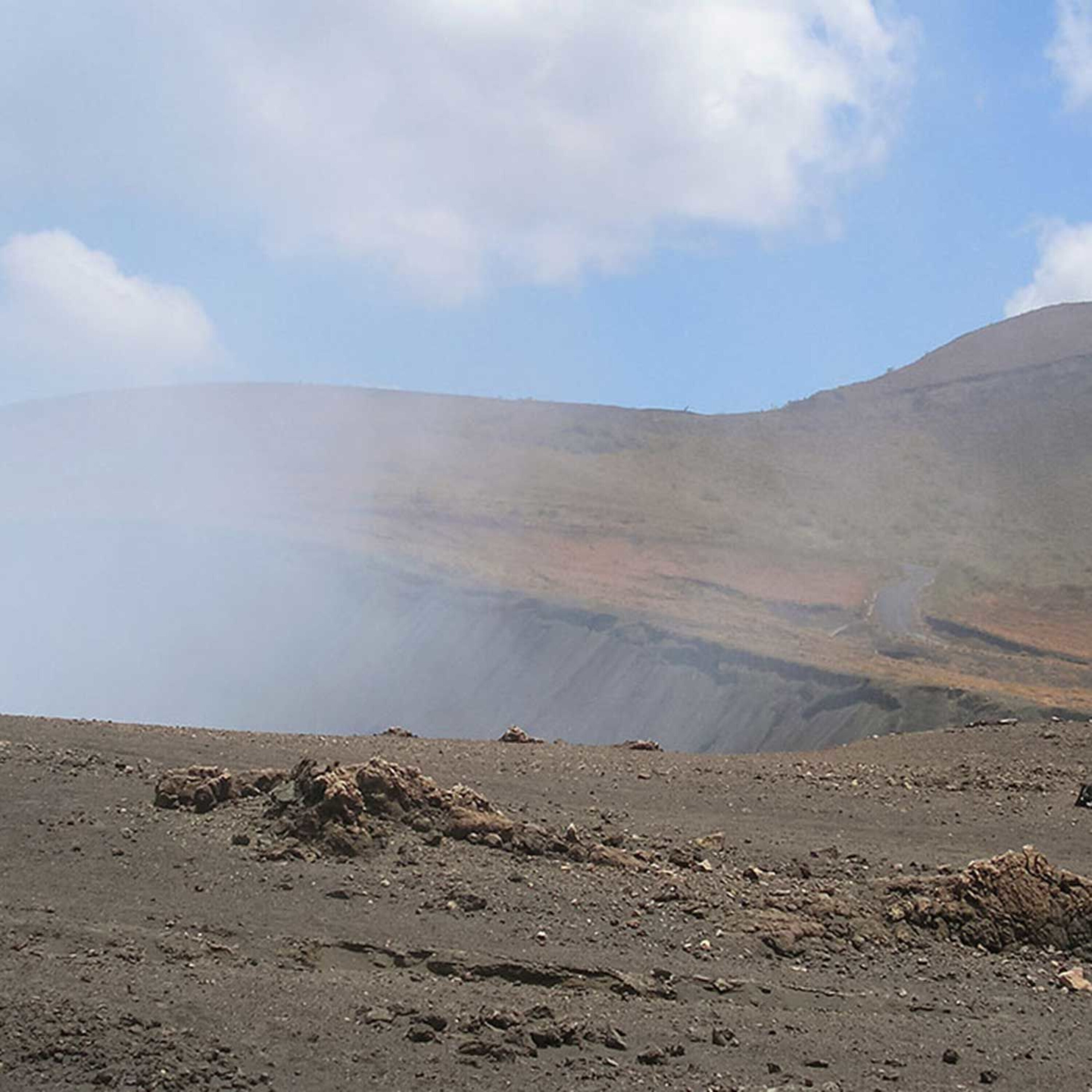 Podcast: Pollution hot spots in coastal waters, extreme bees, and diseased dinos