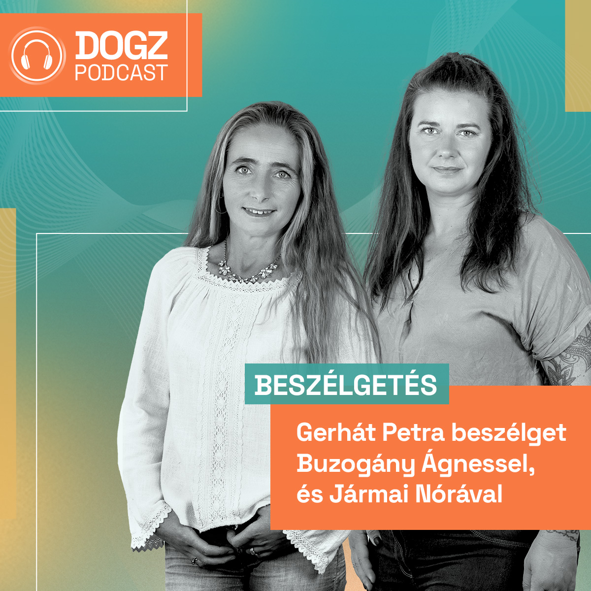 Munkanélkülivé tettük a kutyákat, de mi lesz így velük?