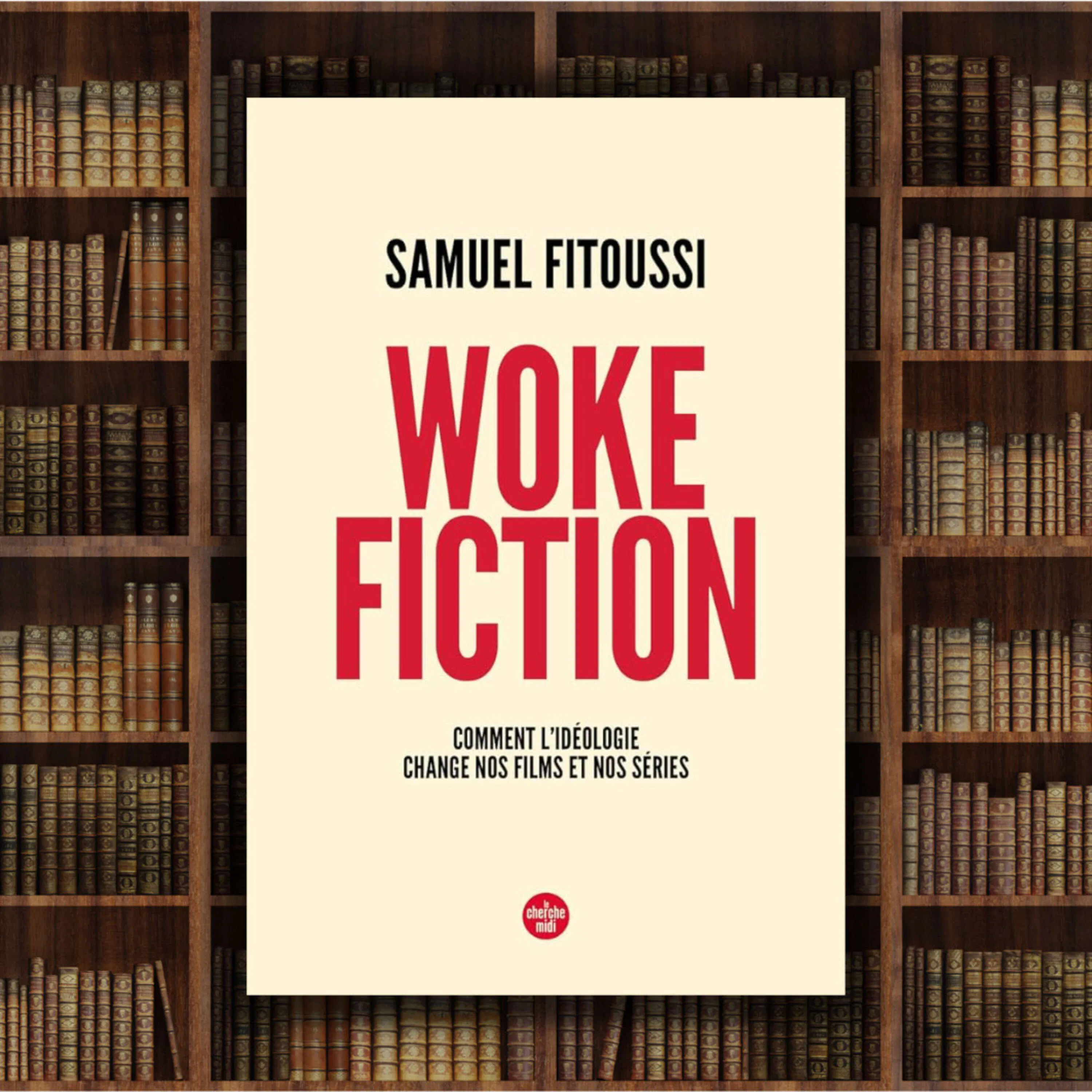 Woke Fiction (2e Partie)