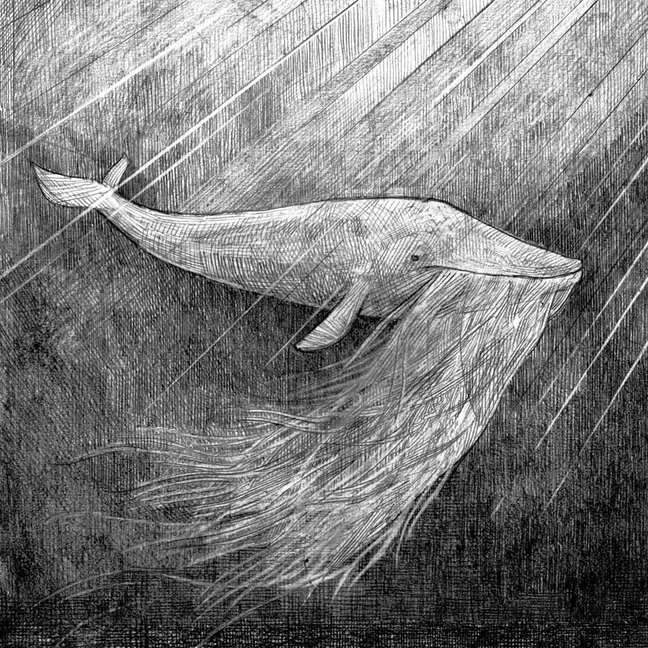 The Whale | Episode 1