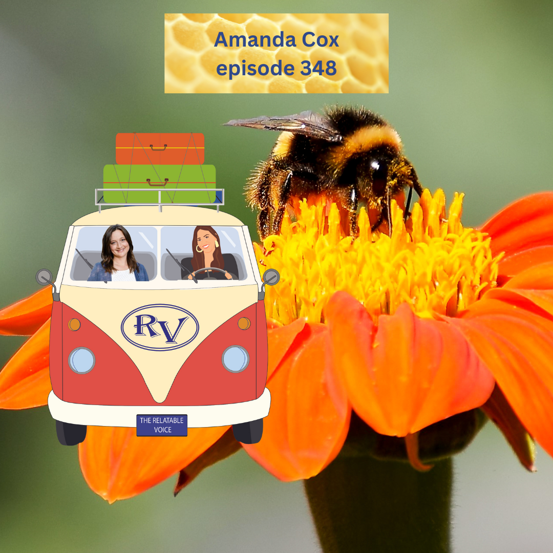He Should Have Told the Bees, with the author Amanda Cox episode artwork