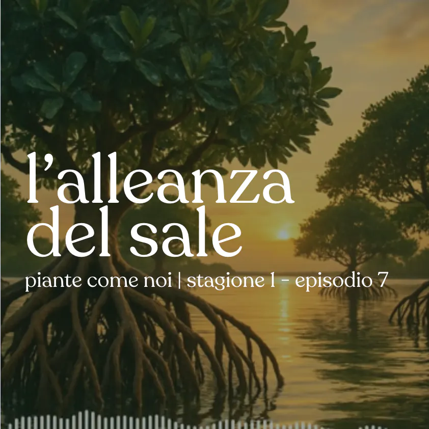 L'alleanza del sale - Stagione 1 | Episodio 7 episode artwork