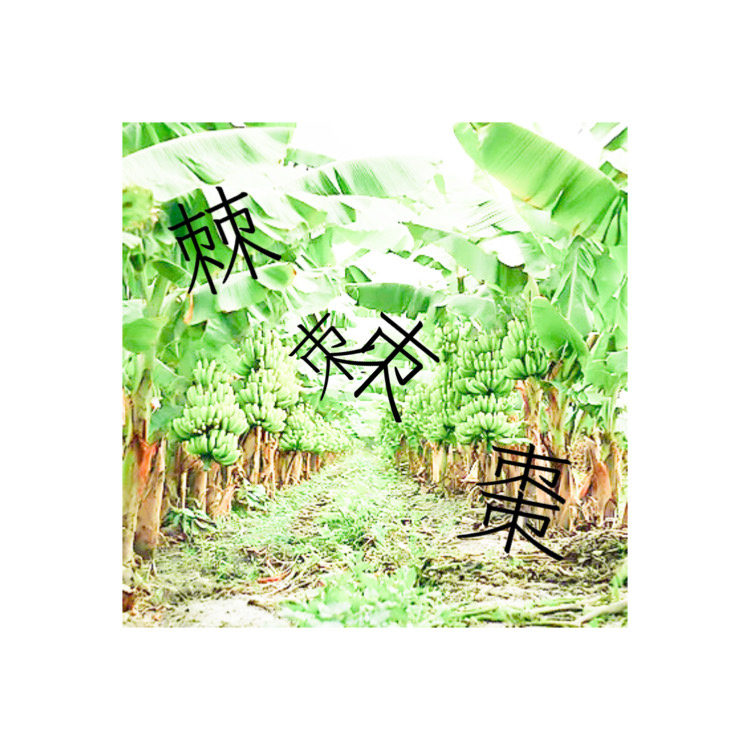 #673 クールなフルーツ