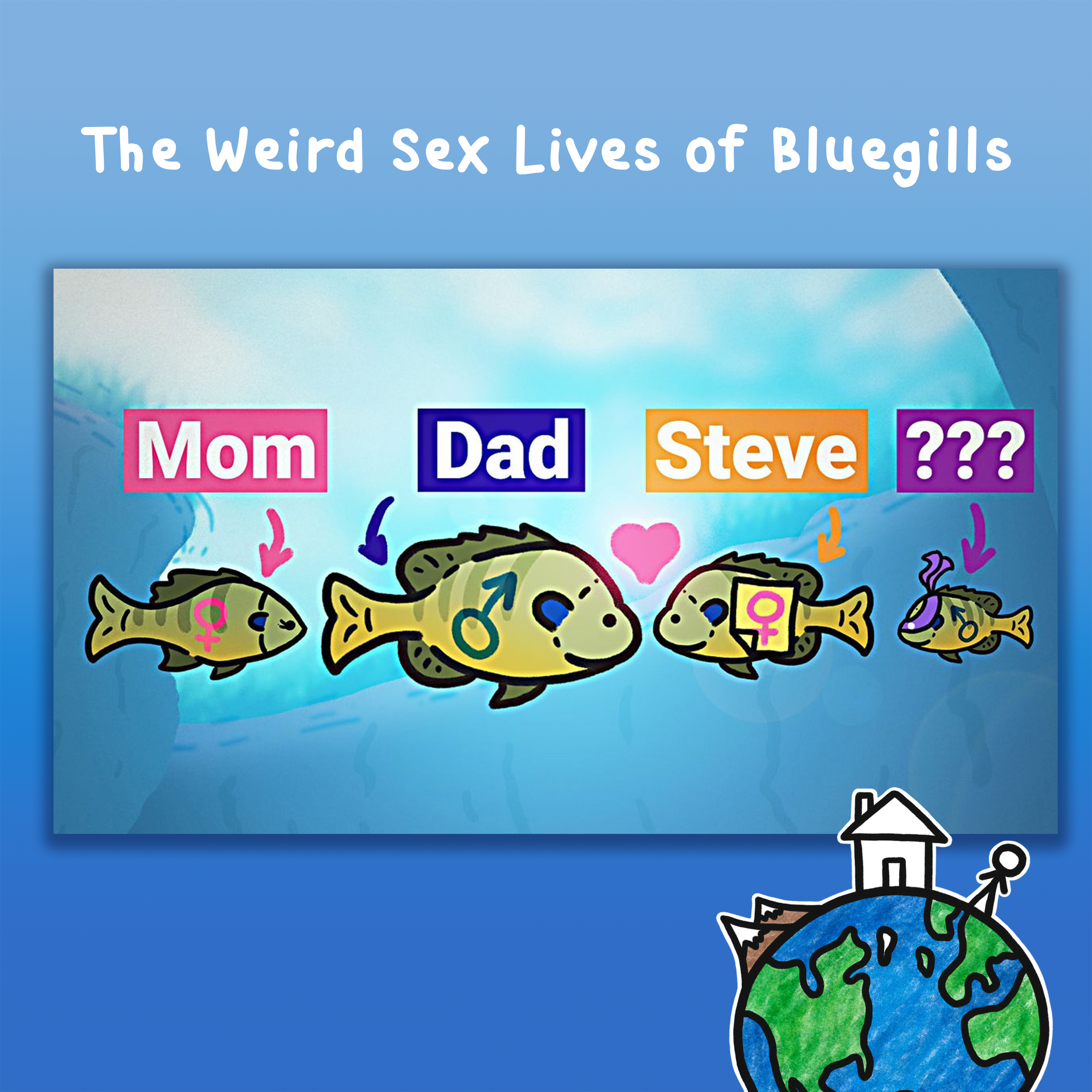 The Weird Sex Lives of Bluegills