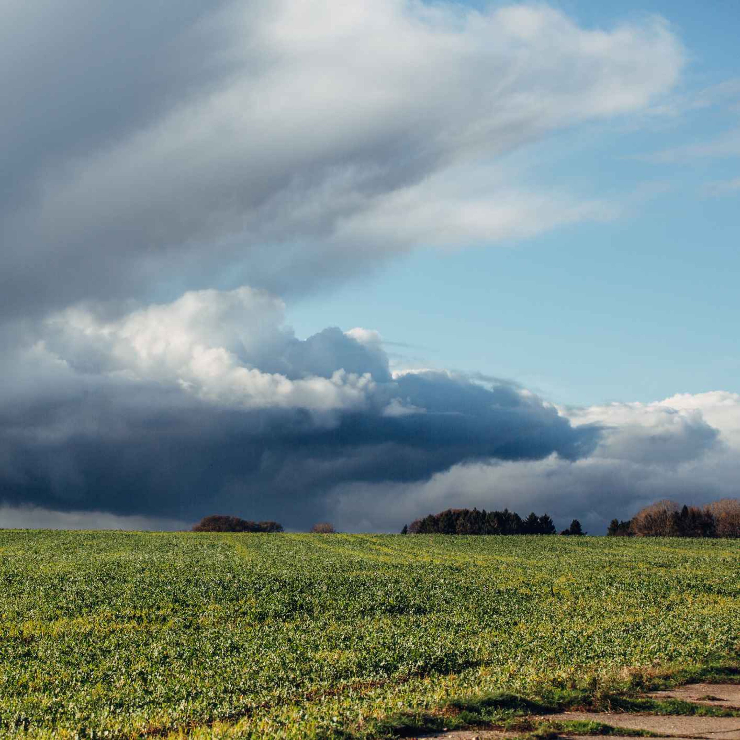 Sound Escape 70: listen to the thrilling rumble of a storm rising over Dorset