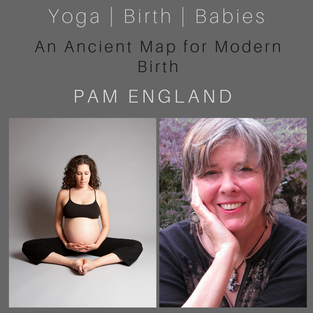 An Ancient Map for Modern Birth with Pam England episode artwork