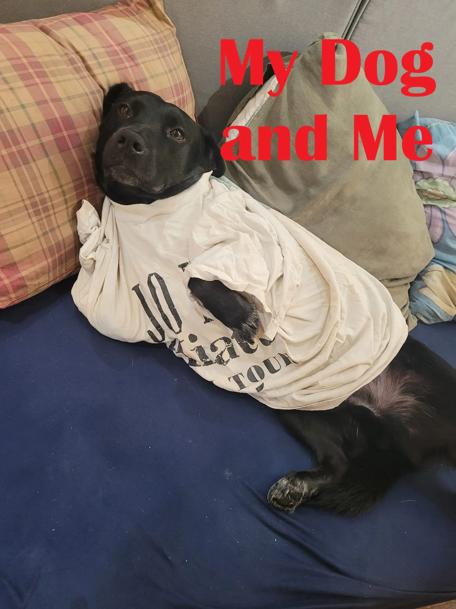 My Dog and Me episode artwork