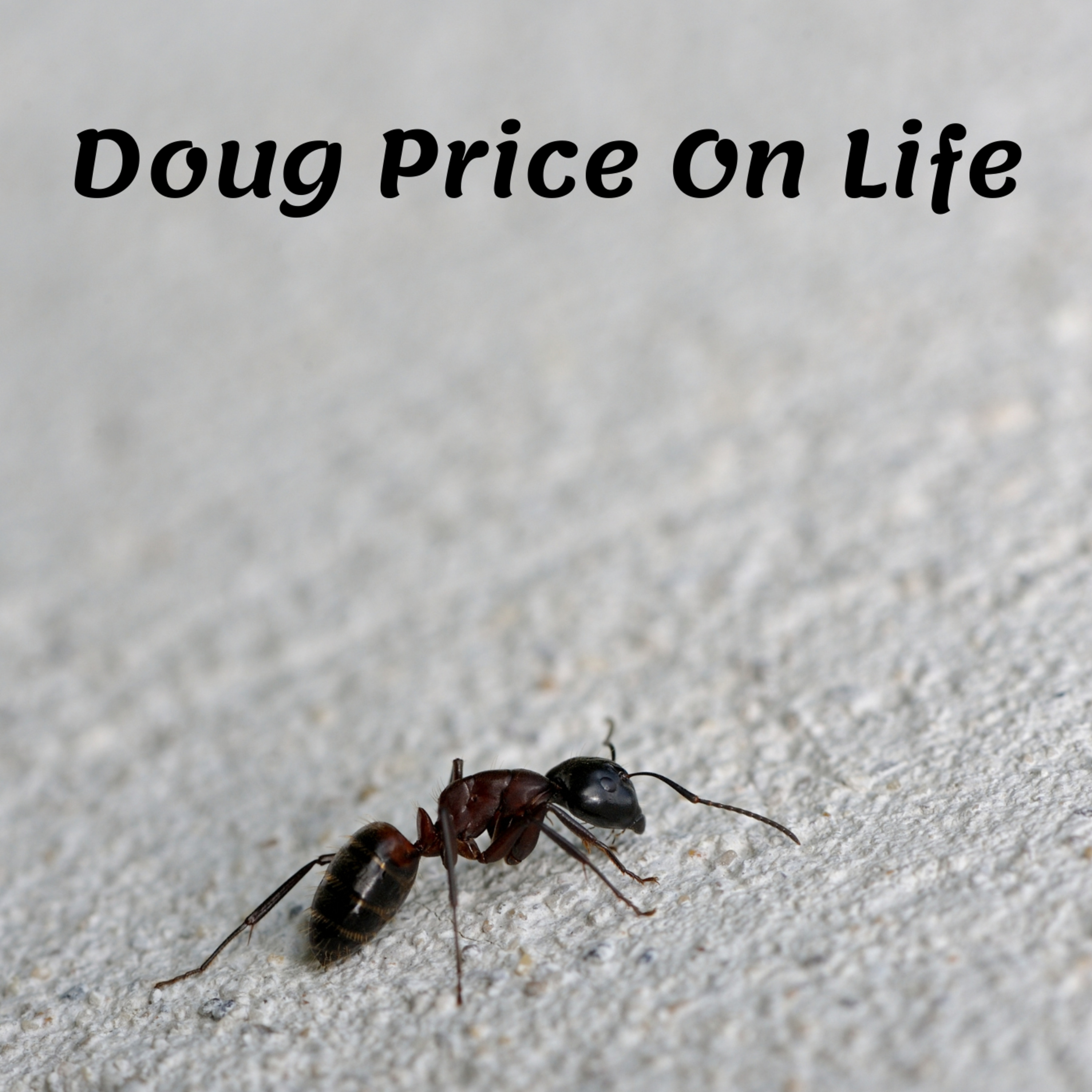 Doug Price On Life