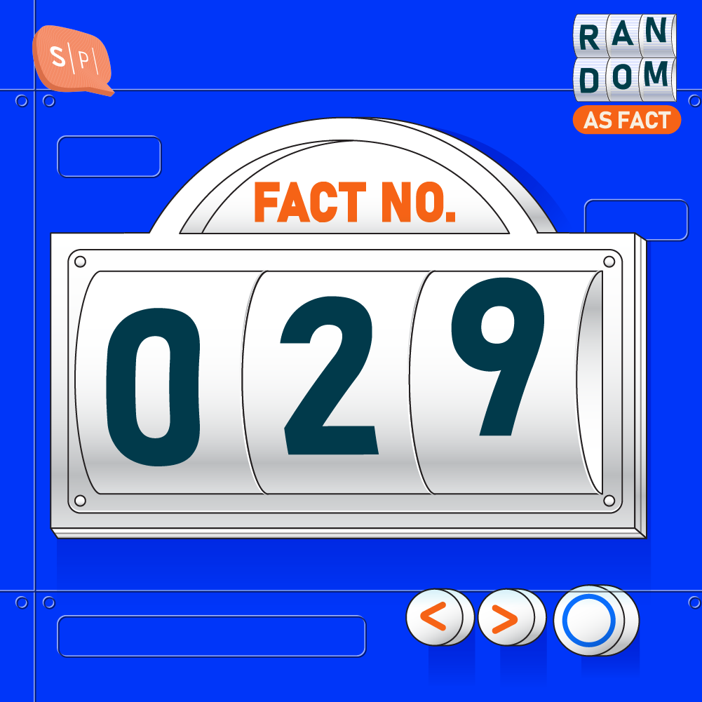 RAF029 Fact No.029