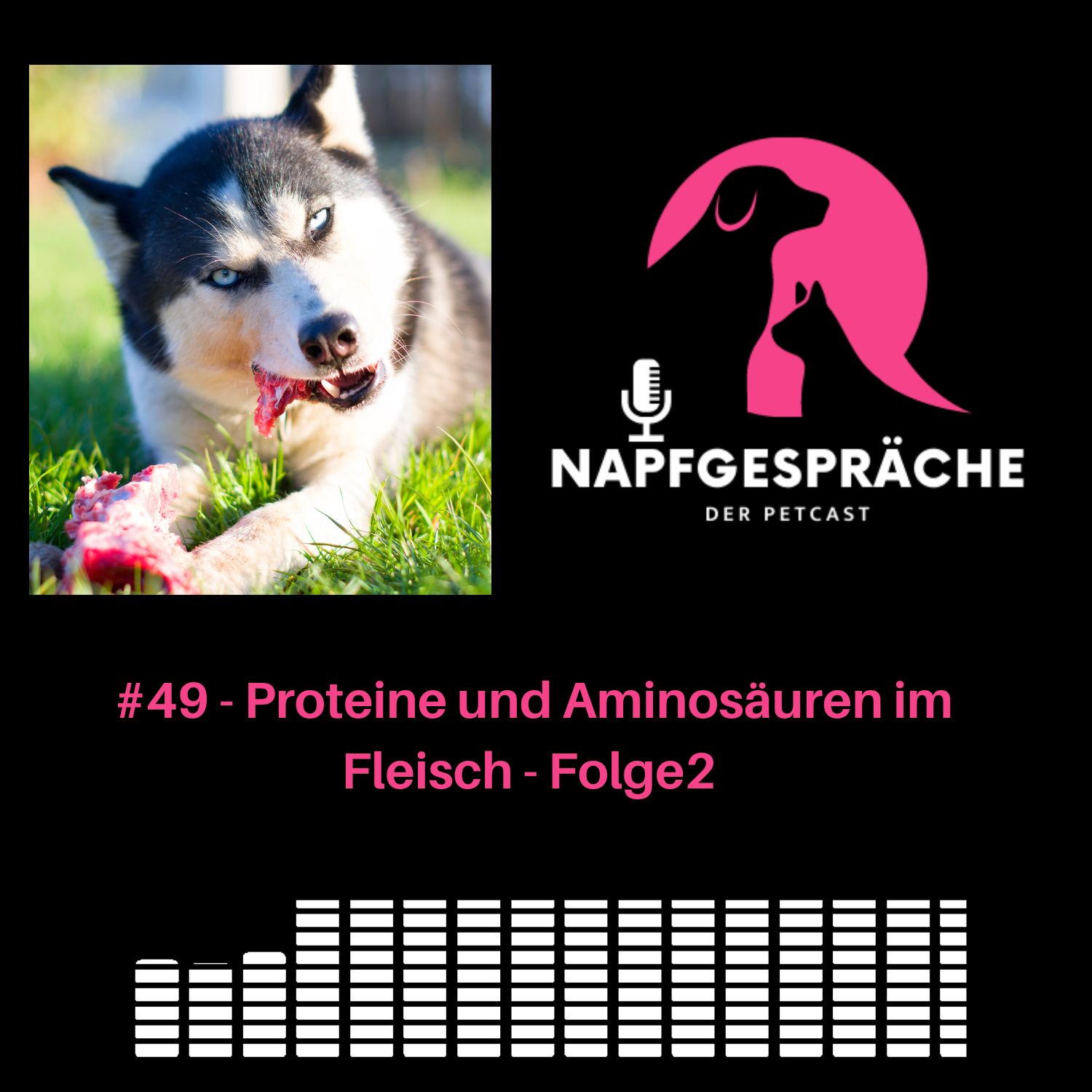 #49 - Proteine und Aminosäuren im Fleisch - Folge 2