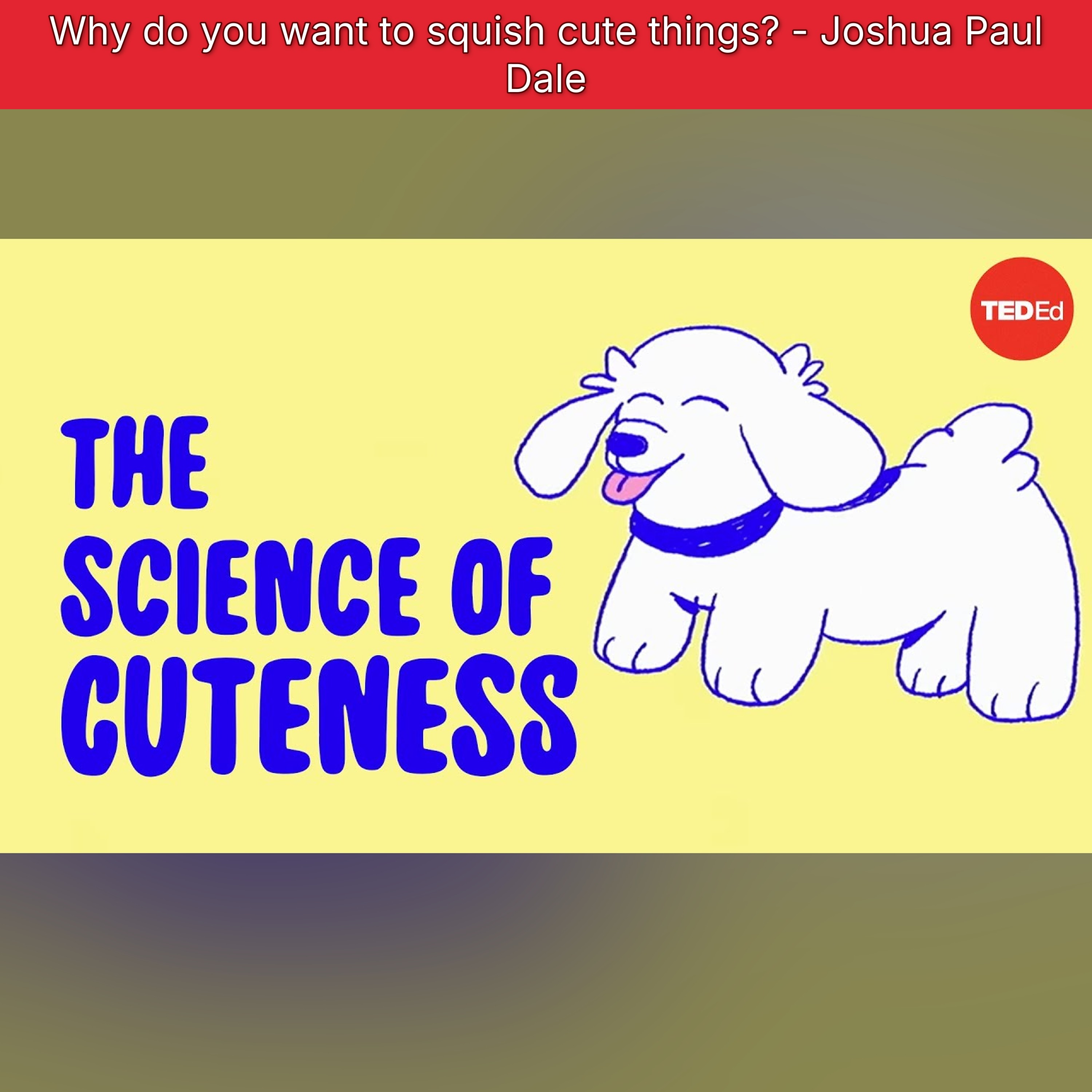 TED-Ed