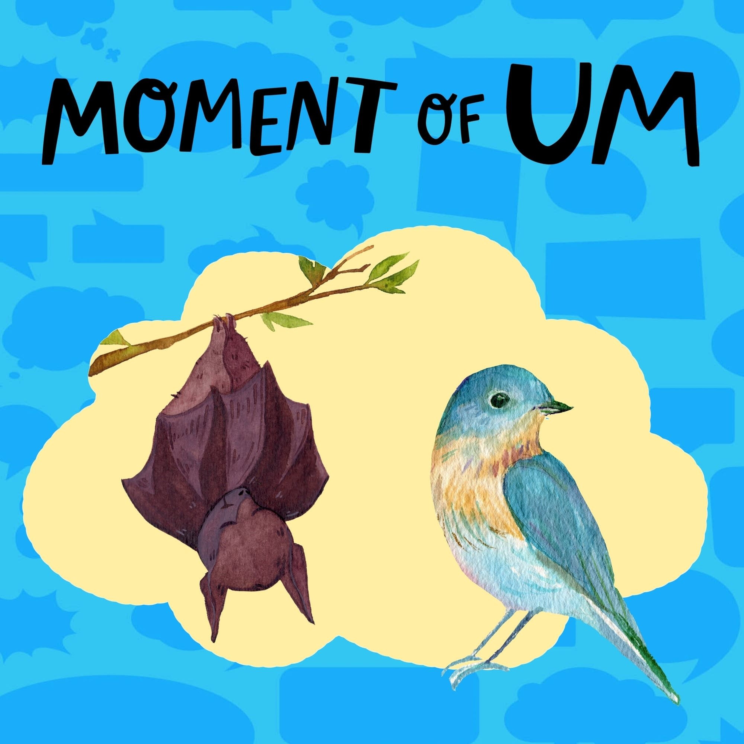 Are birds related to bats?