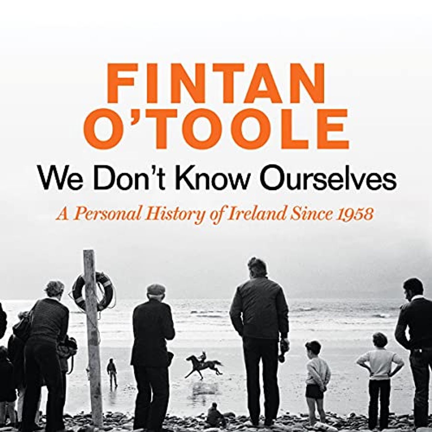 Fintan O'Toole – We Don't Know Ourselves podcast artwork