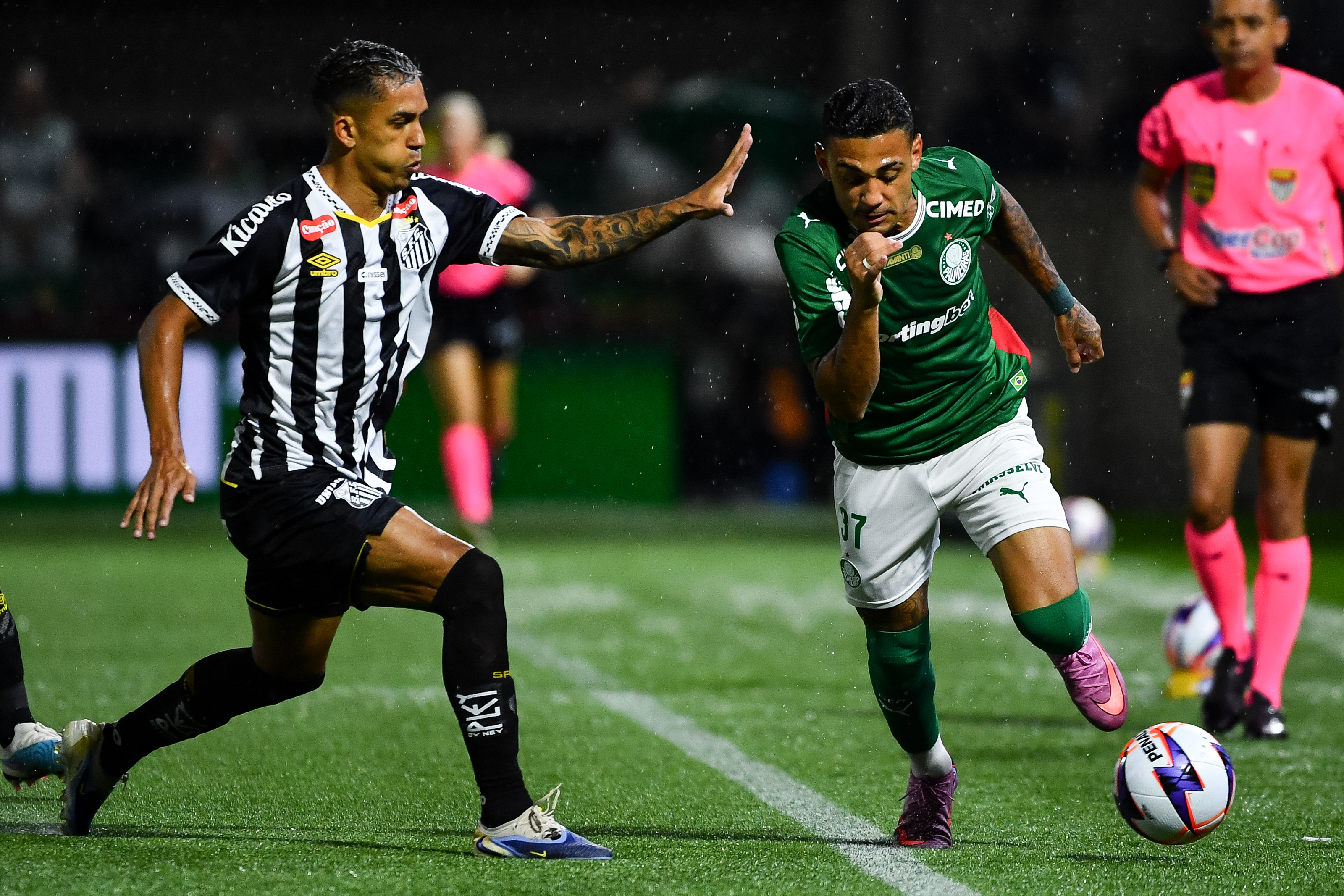 Palmeiras defende invencibilidade fora de casa contra o Novorizontino pelo Paulistão