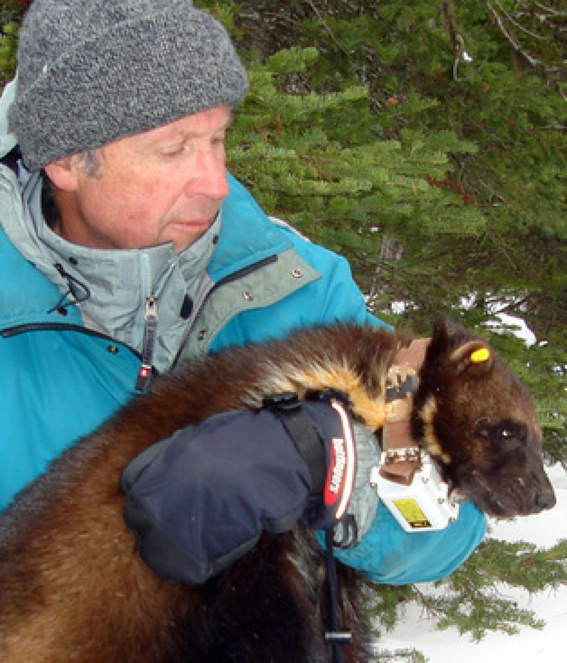 Episode 239: Wildlife Biologist and Four Fifths a Grizzly author Douglas Chadwick