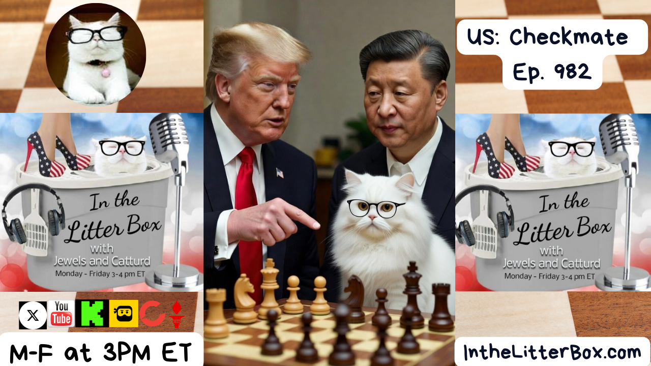 US: Checkmate | In the Litter Box w/ Jewels Jones & Catturd – Ep. 982 – 3/4/2026
