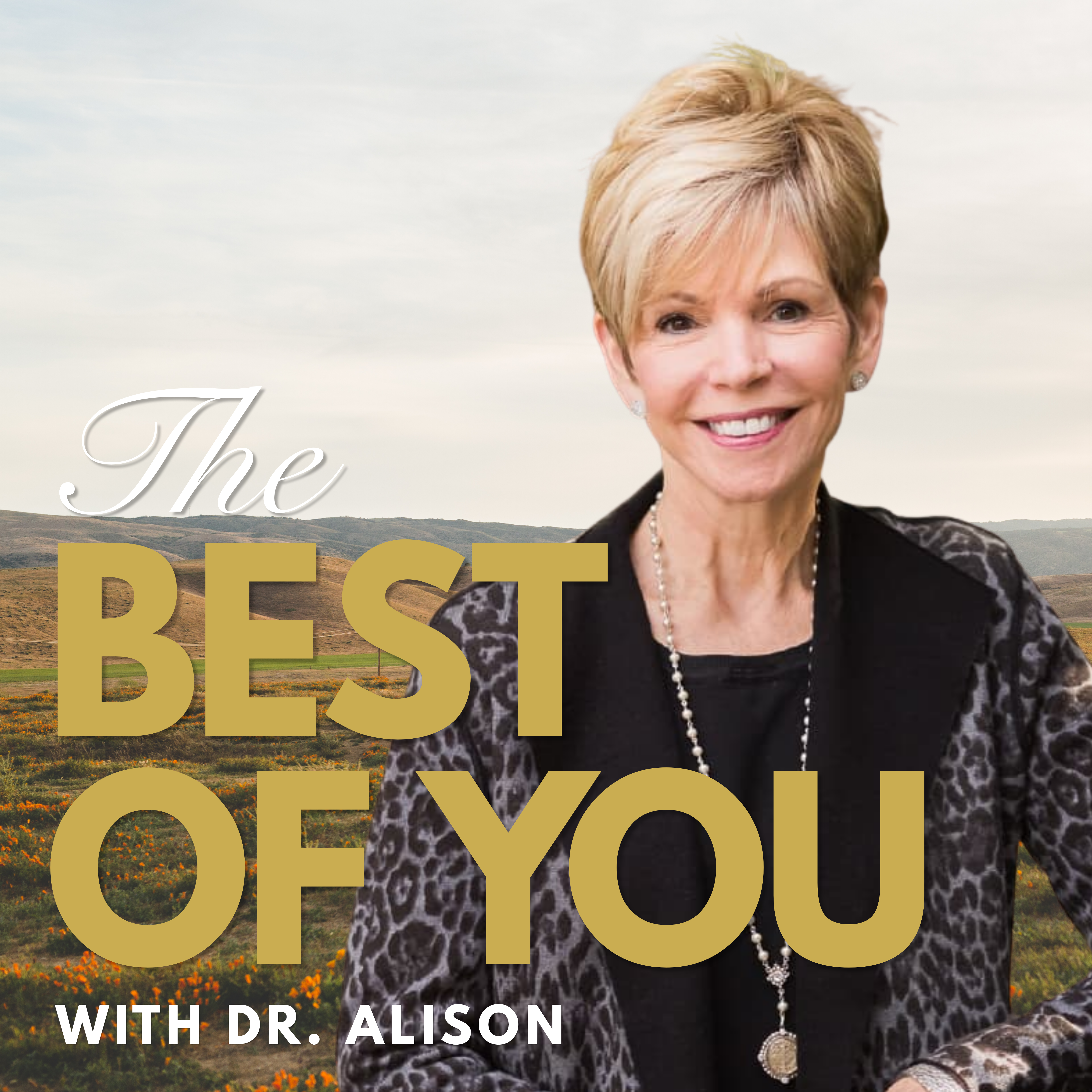 217. What to Do When You’re the Only One Trying: Leslie Vernick on Emotionally Destructive Relationships episode artwork