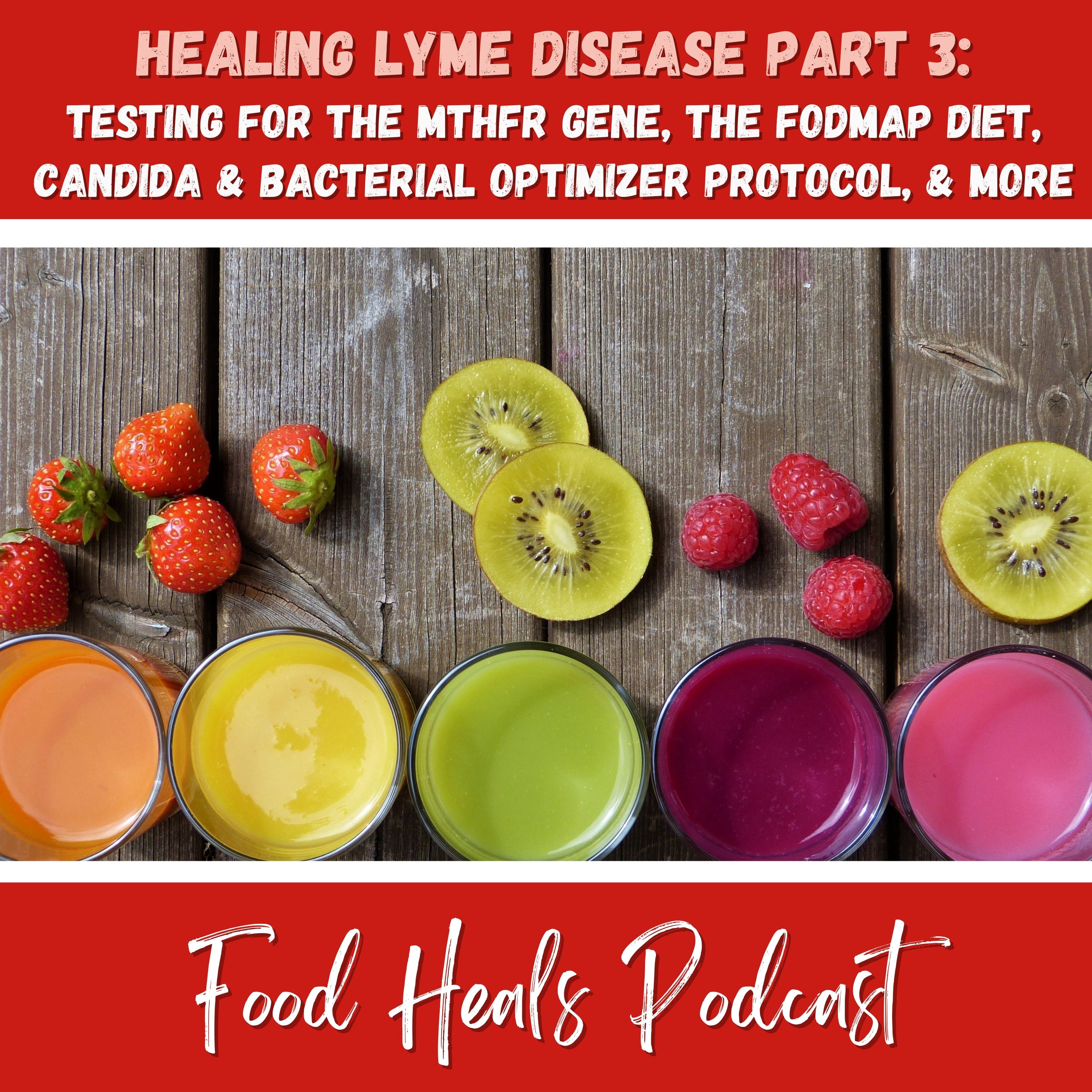 416 Healing Lyme Testing For the MTHFR Gene, The FODMAP Diet, Candida