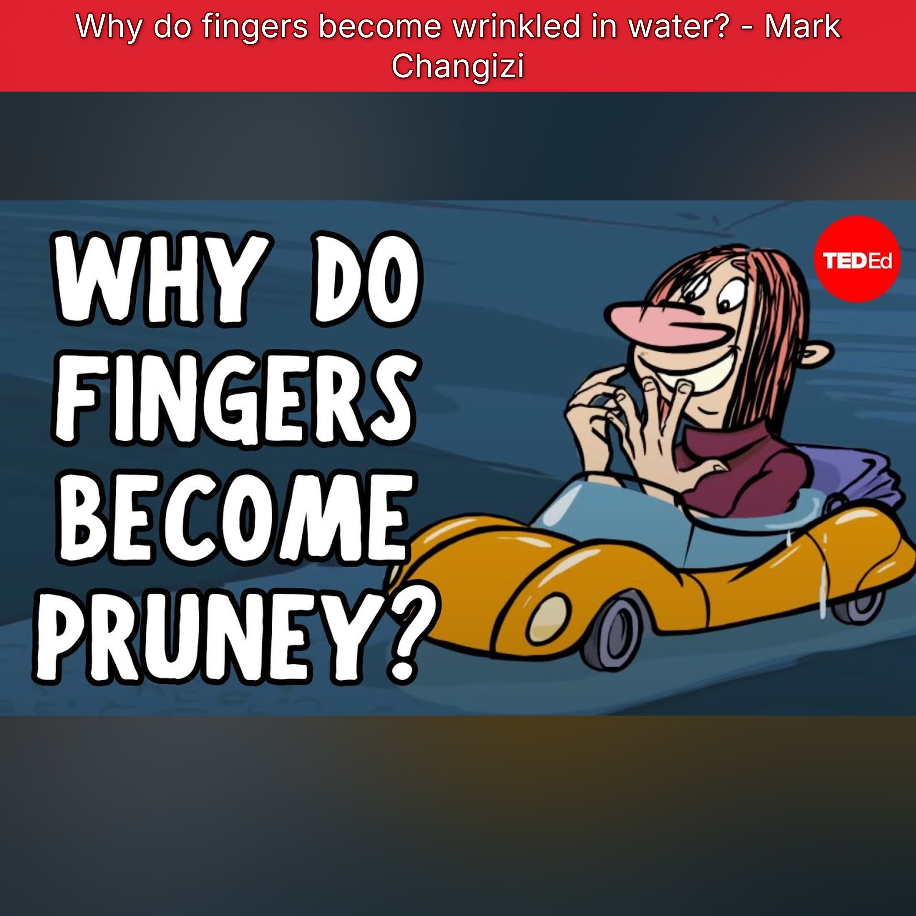 Why do fingers become wrinkled in water? - Mark Changizi