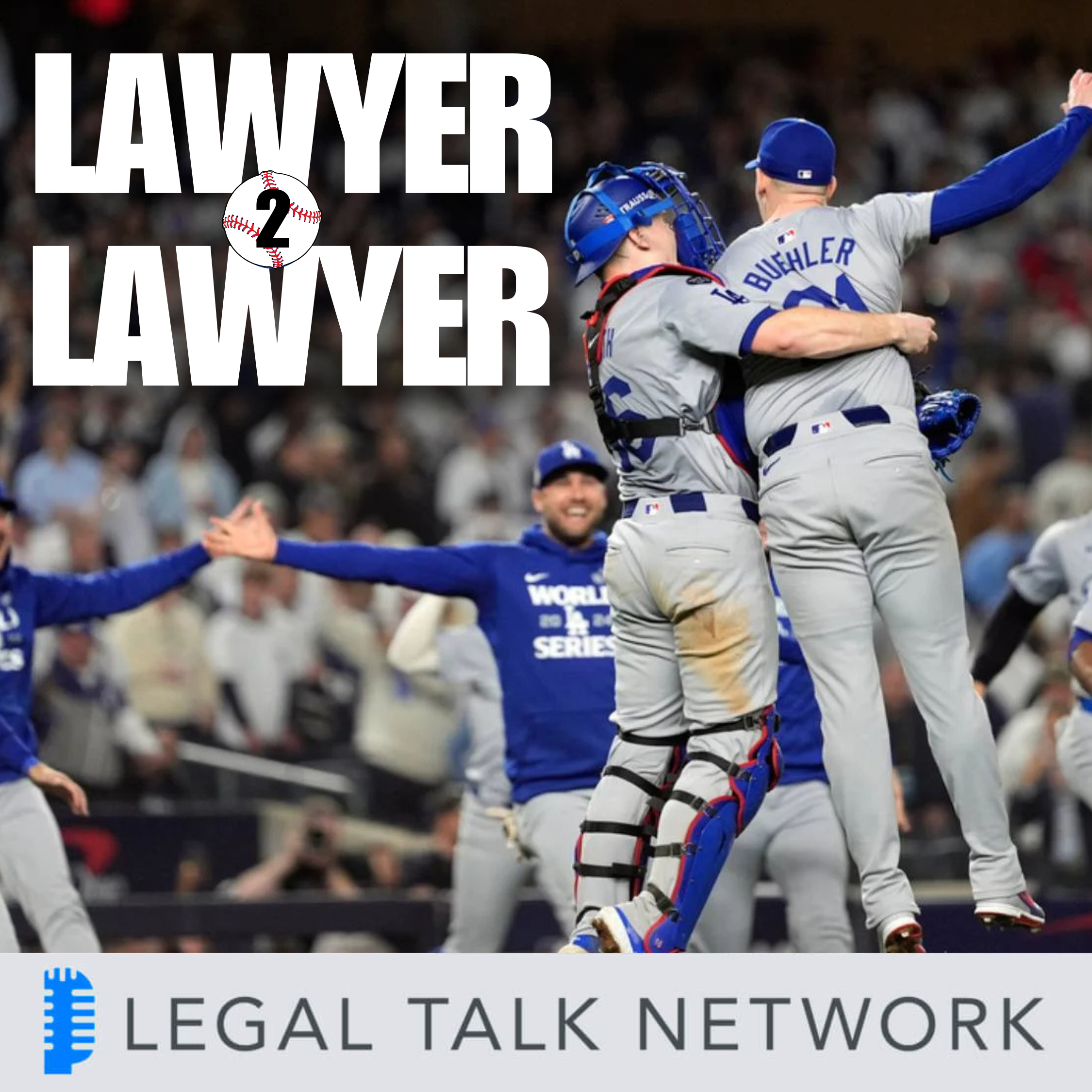 The Legalities of Baseball: Fan Interference, Ball Ownership, & the Constitution