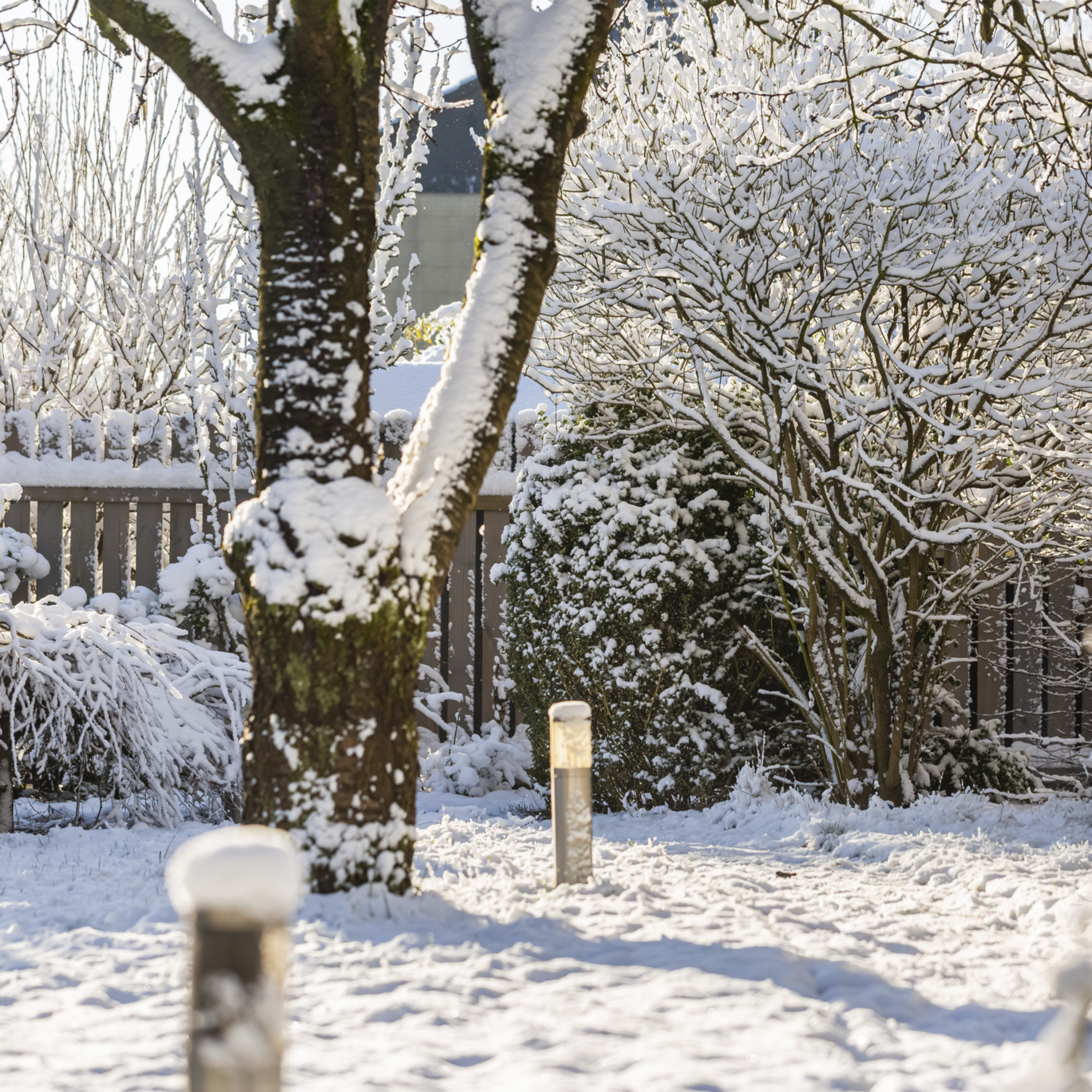 Sound Escape 259. Enjoy the early morning crunch of footsteps in fresh snow