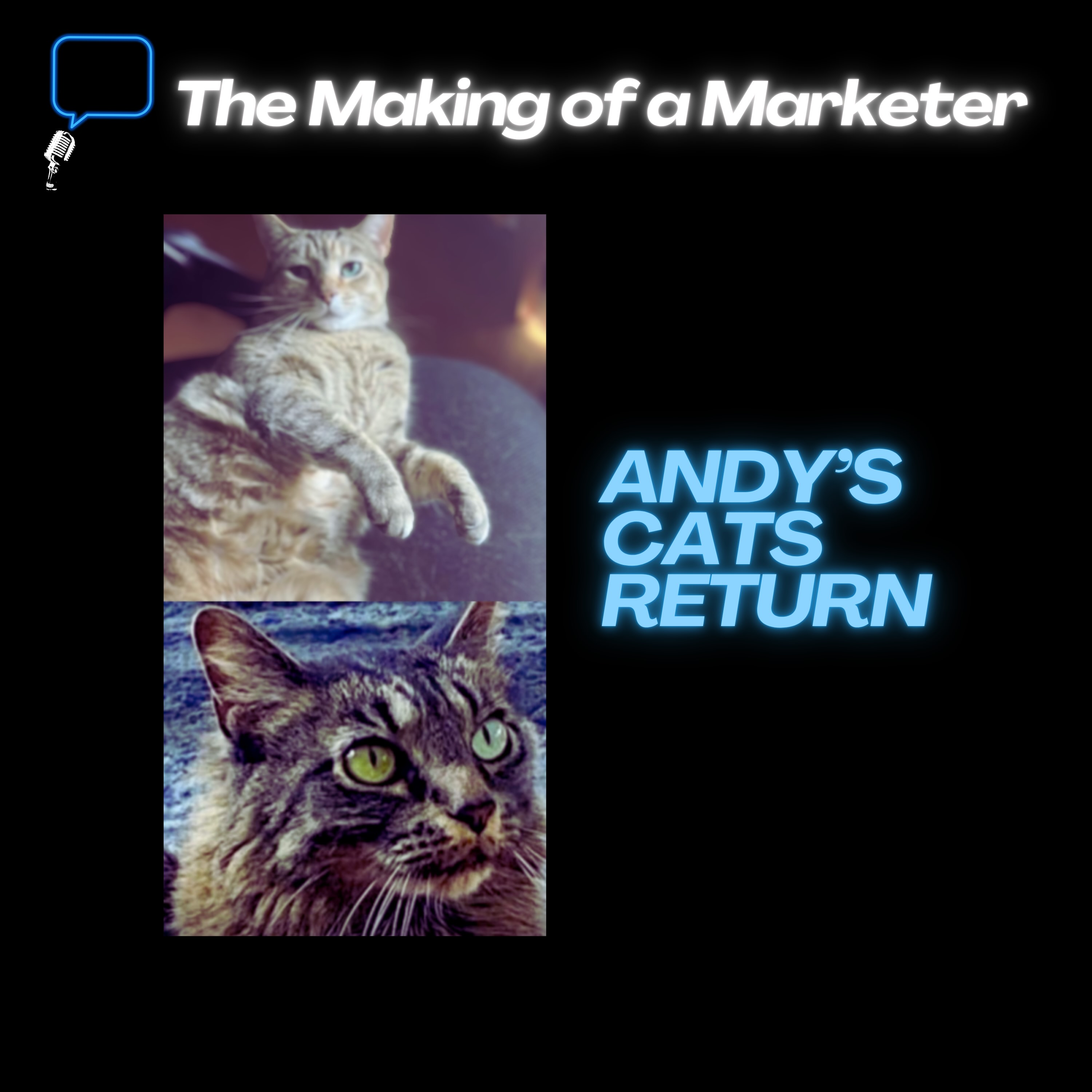 The Making of a Marketer – The KPI of Building Community