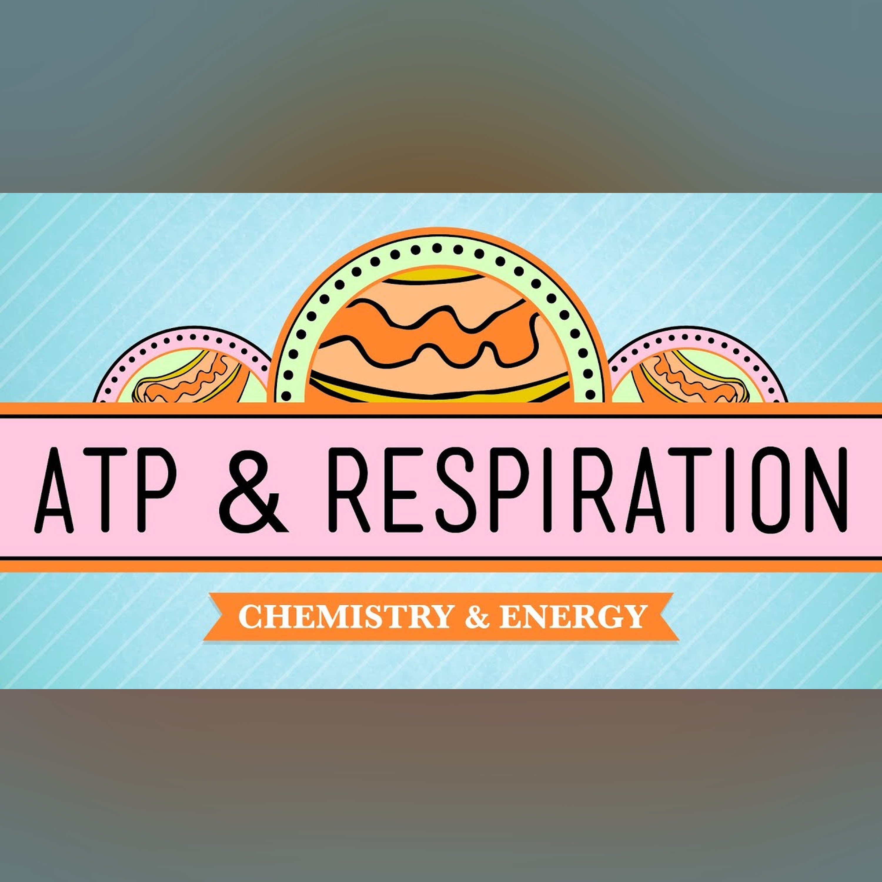 ATP and Respiration: Crash Course Biology #7