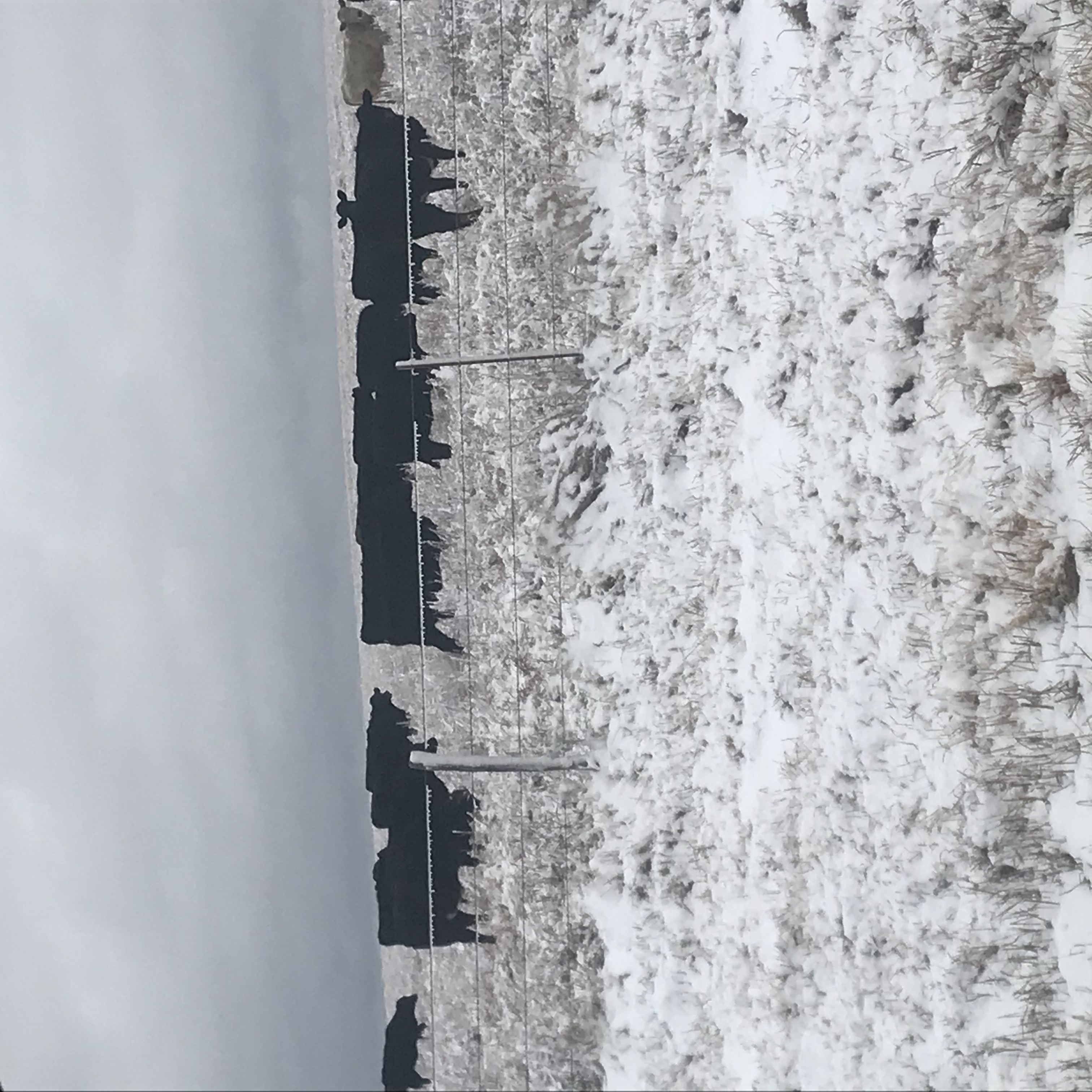 This Month In Texas History - January