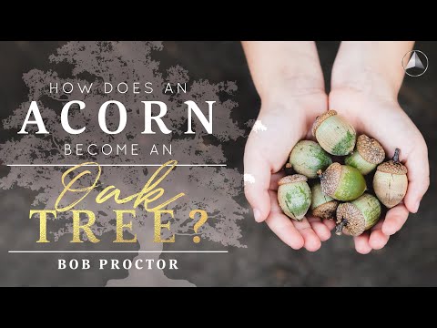 The Natural Laws of Growth | Bob Proctor