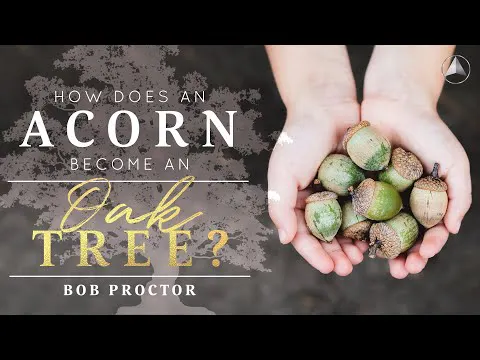 The Natural Laws of Growth | Bob Proctor