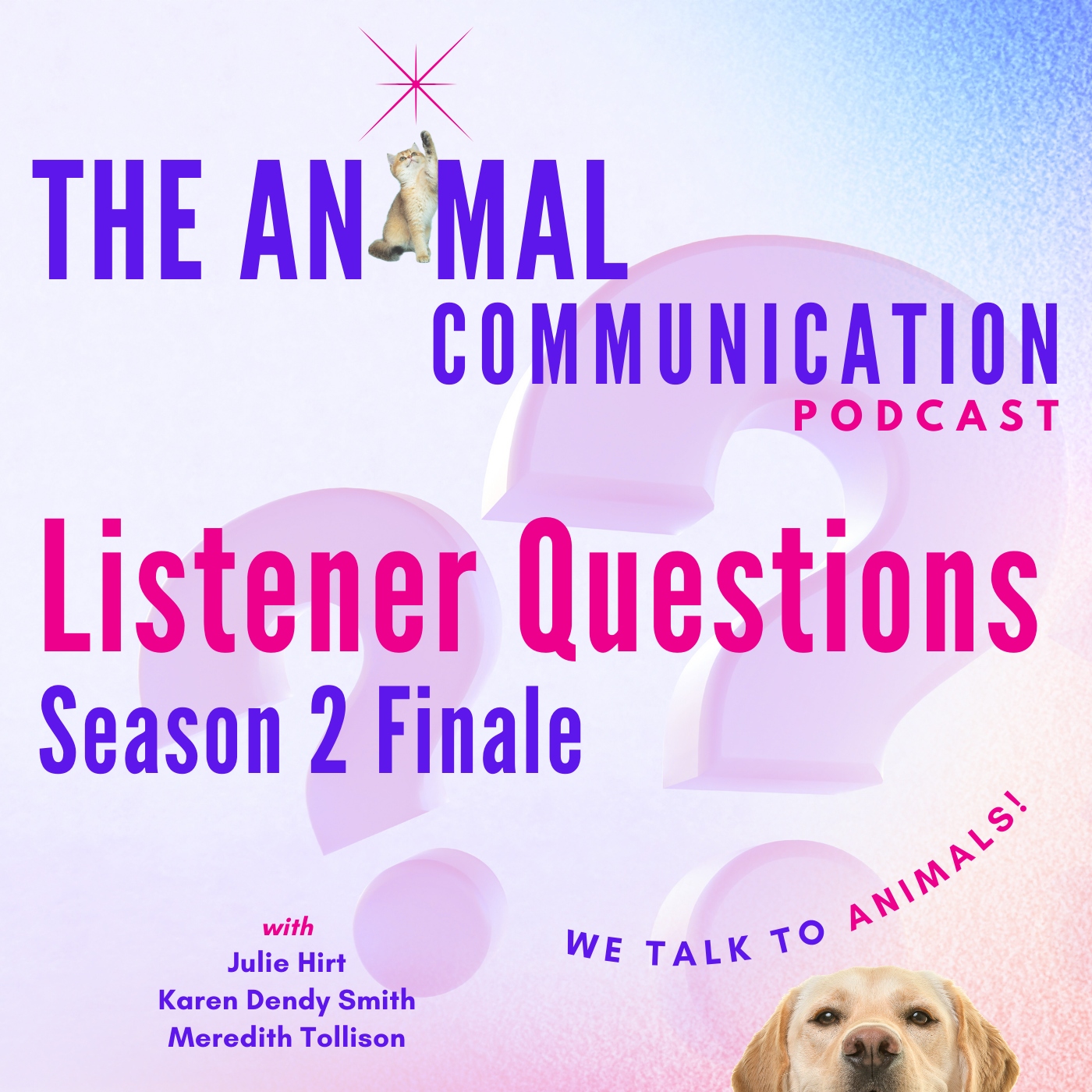 Listener Questions Season Finale
