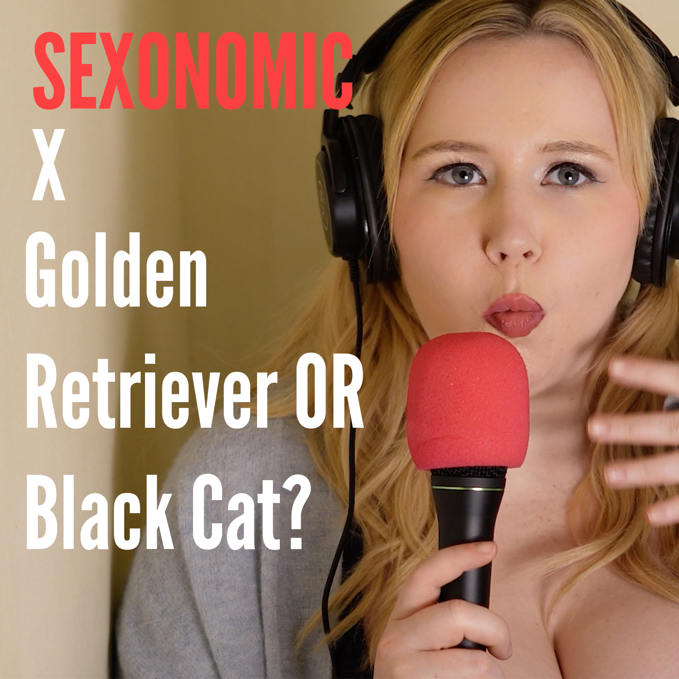 SHORT REVISIT: Are you a Black Cat  or Golden Retriever? episode artwork