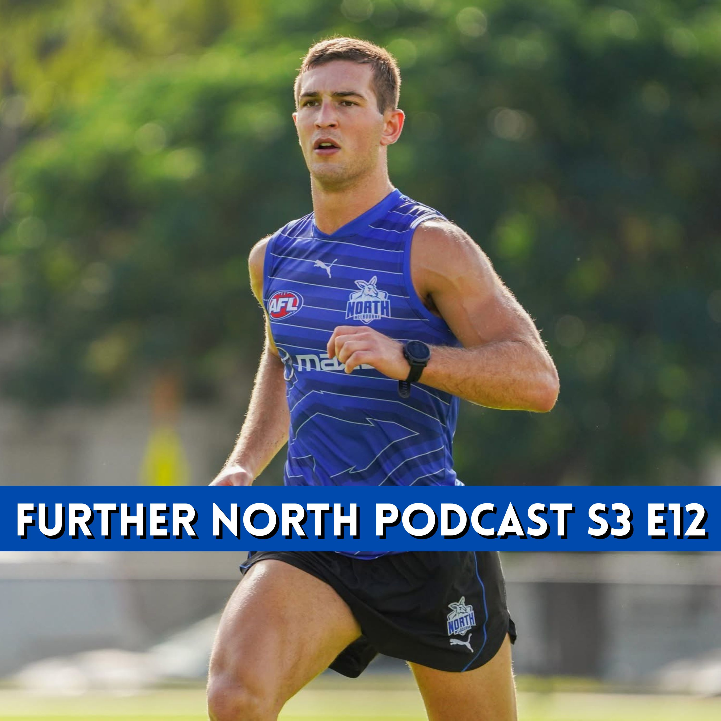 NORTH V DOGS PREVIEW! FT. Matthew from The Salty Bulldog episode artwork