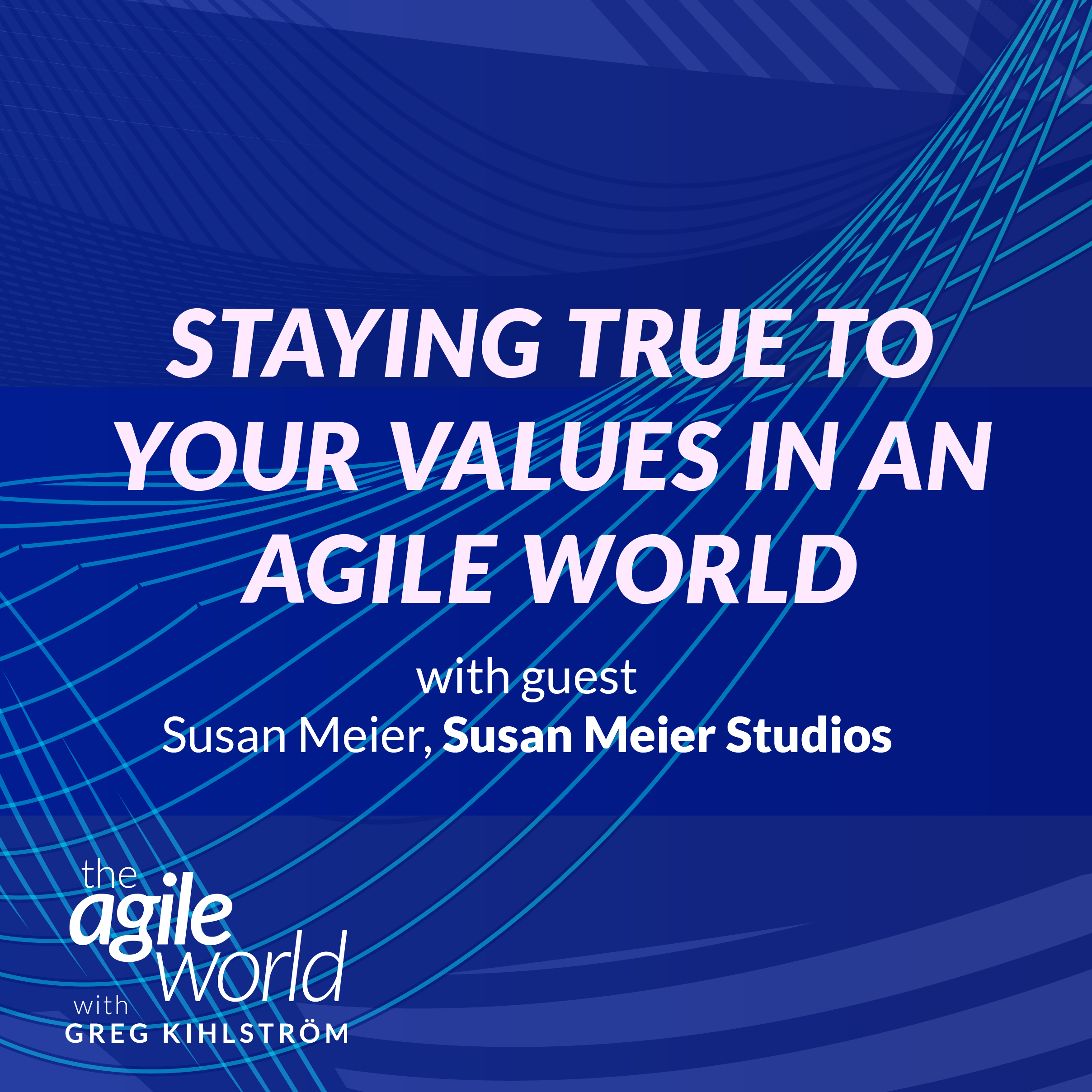 #138: Staying True to Your Values in an Agile World with Susan Meier, Susan Meier Studios