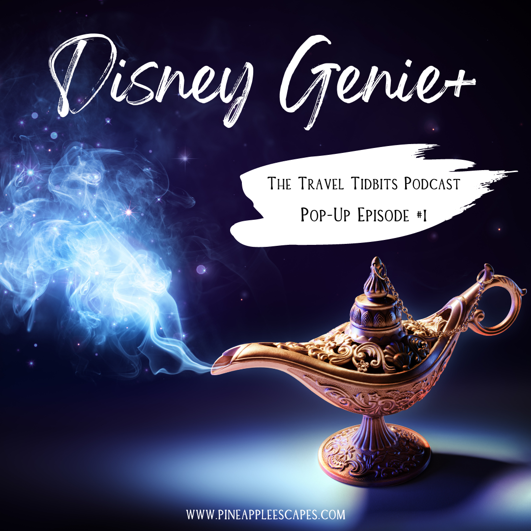 The Travel Tidbits Podcast