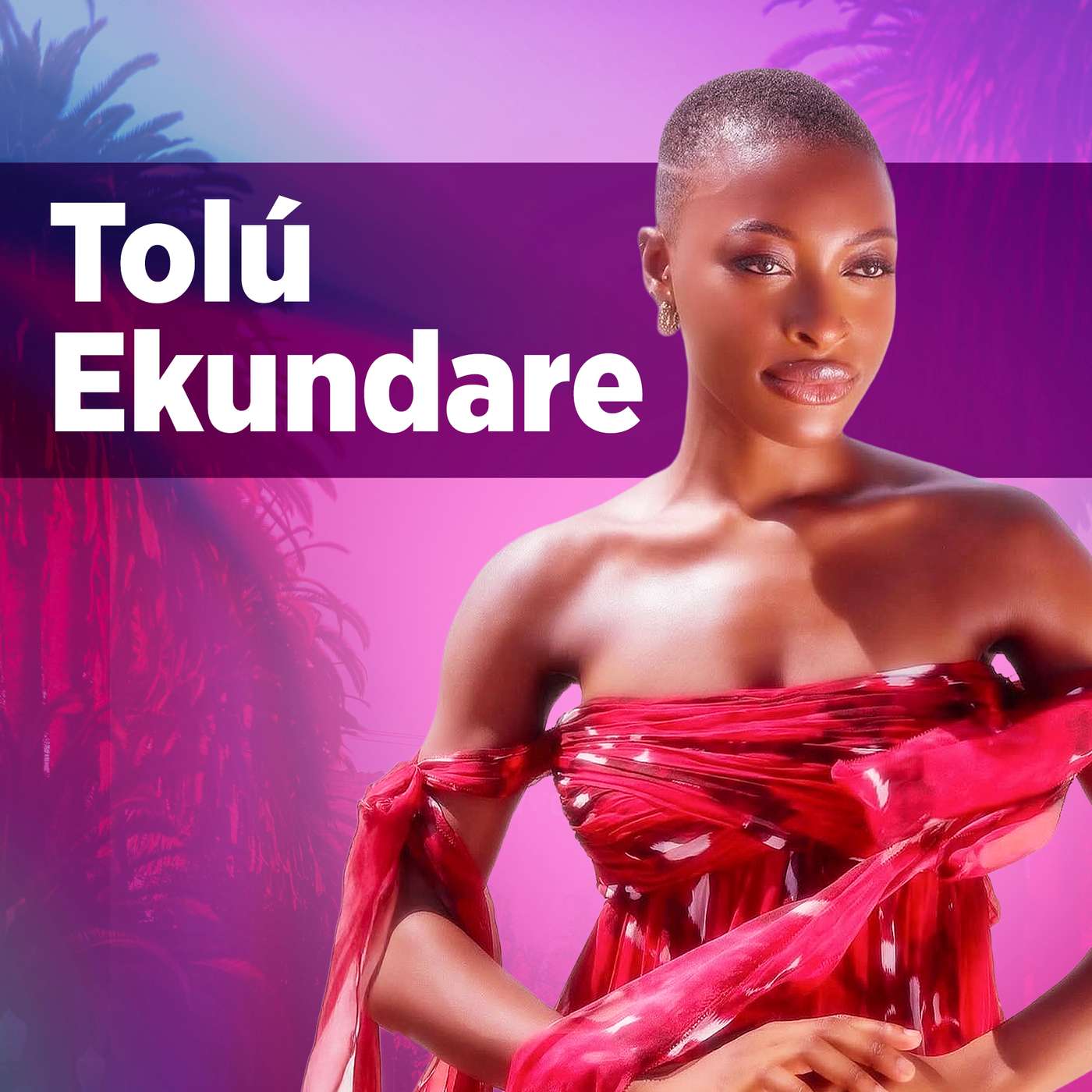 From Model to Reality Star! How Tolú Ekundare Joined Netflix’s The Trust & Perfect Match episode artwork
