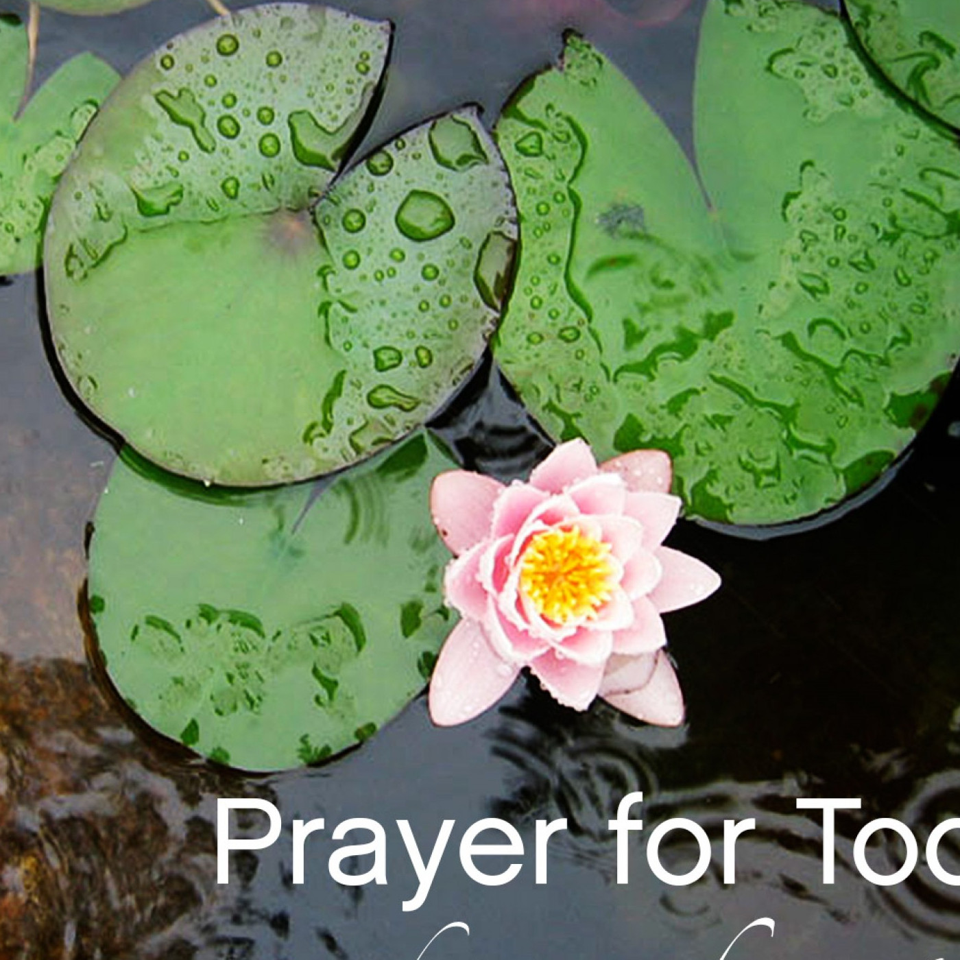 Prayer for Being of Loving Service episode artwork