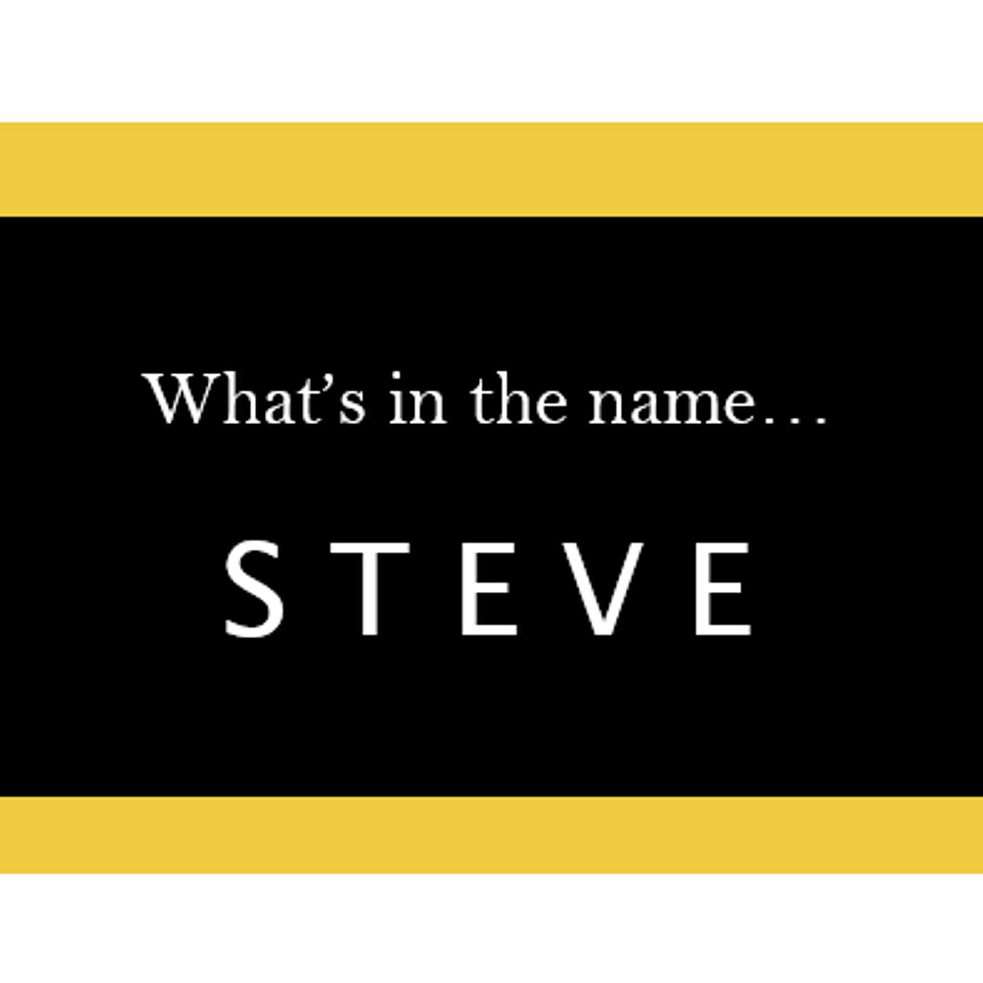 S5.18-122 - What's in a Name... "Steve" - Part Two episode artwork