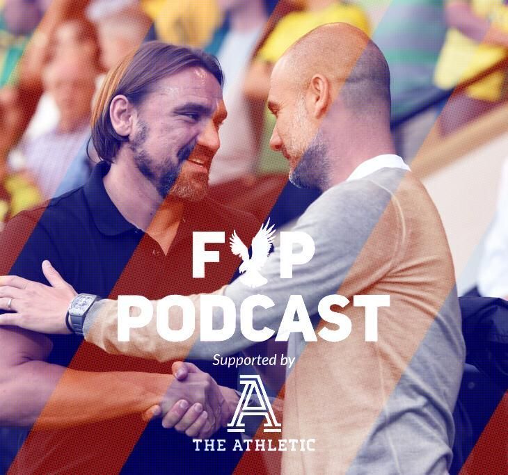 FYP Podcast 312 | Darling Buds Of Meyer episode artwork