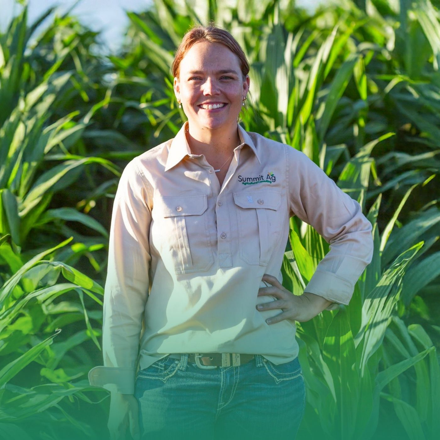 Grain Automate: From data to decisions