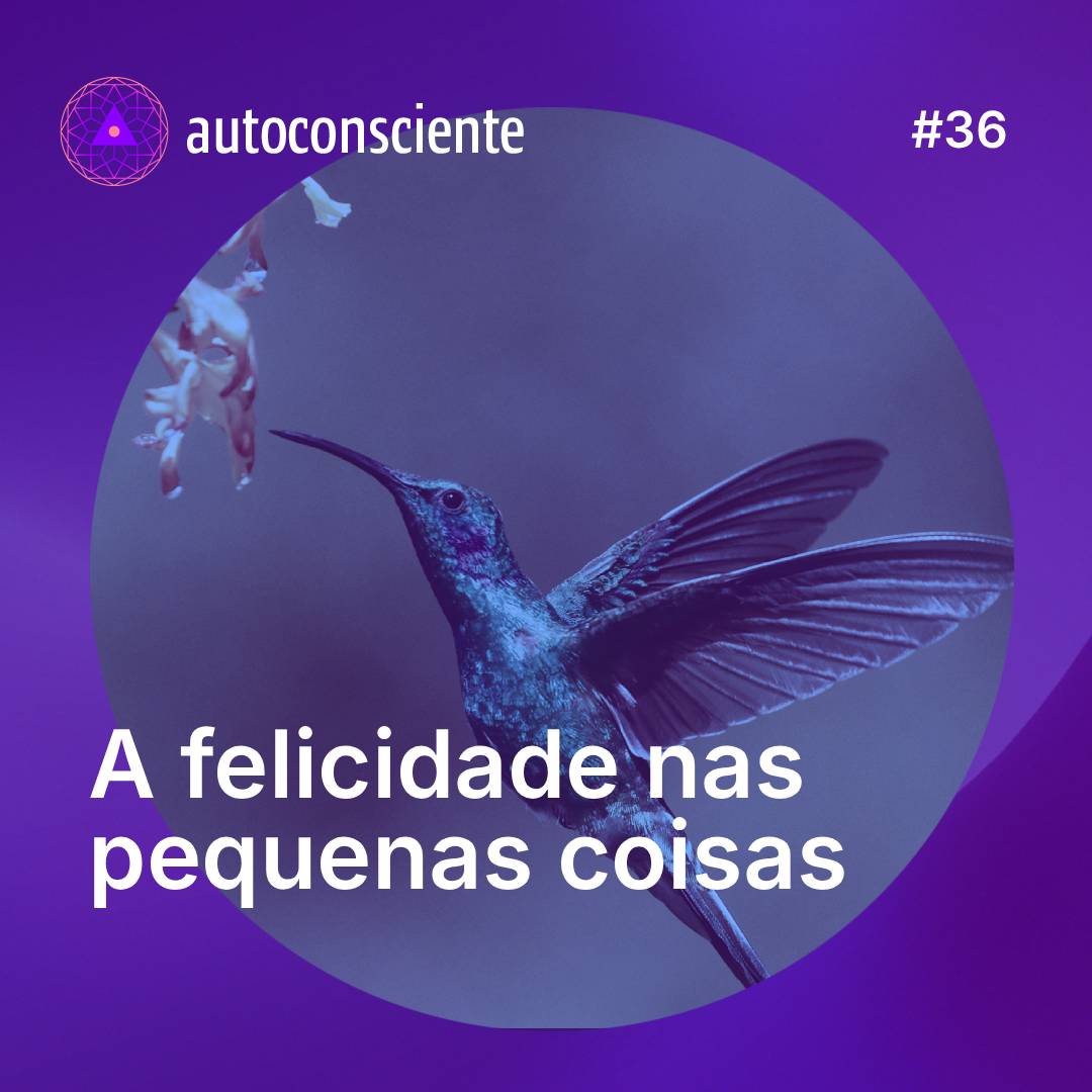 36. A felicidade nas pequenas coisas episode artwork