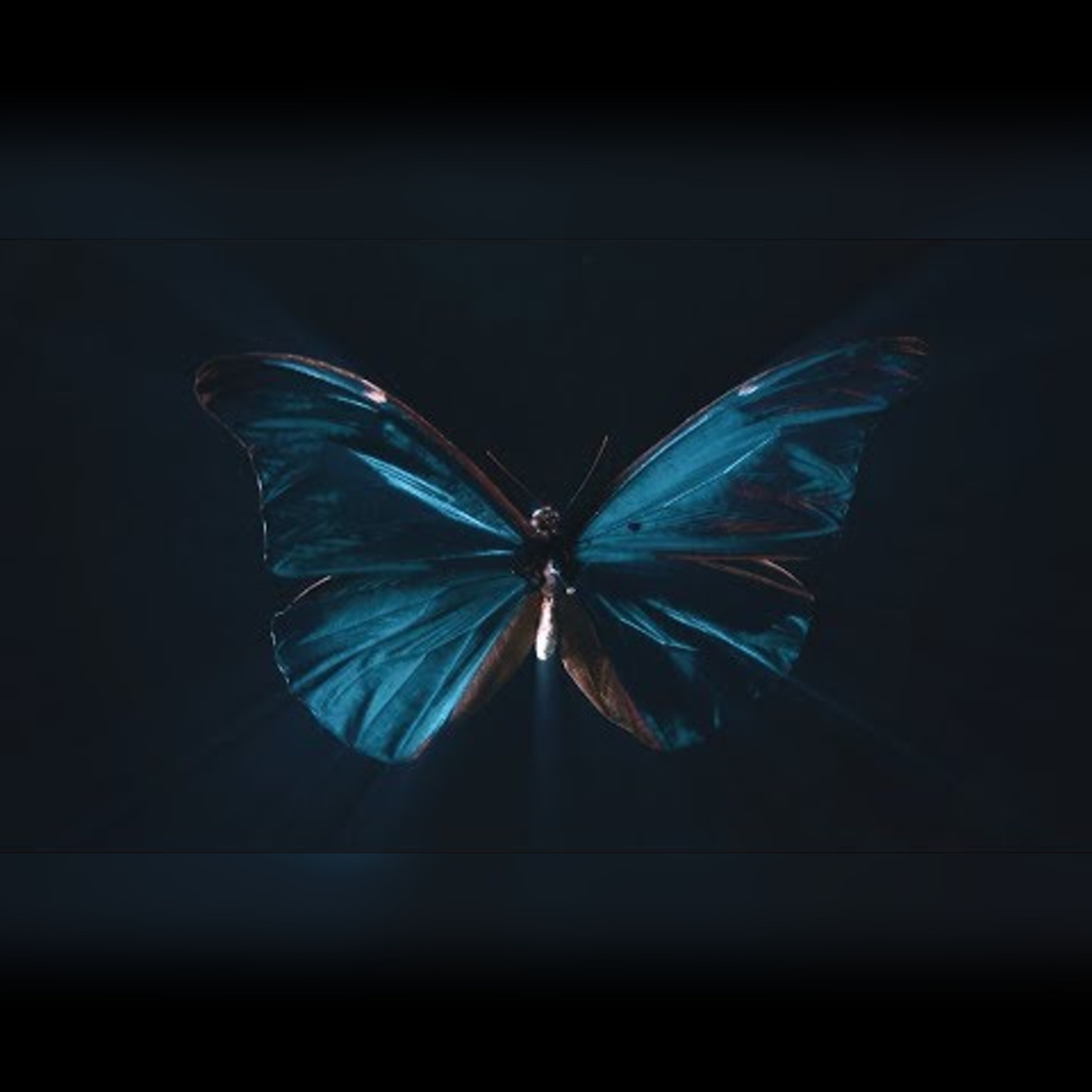 Understanding the Butterfly Effect in Chaos Theory