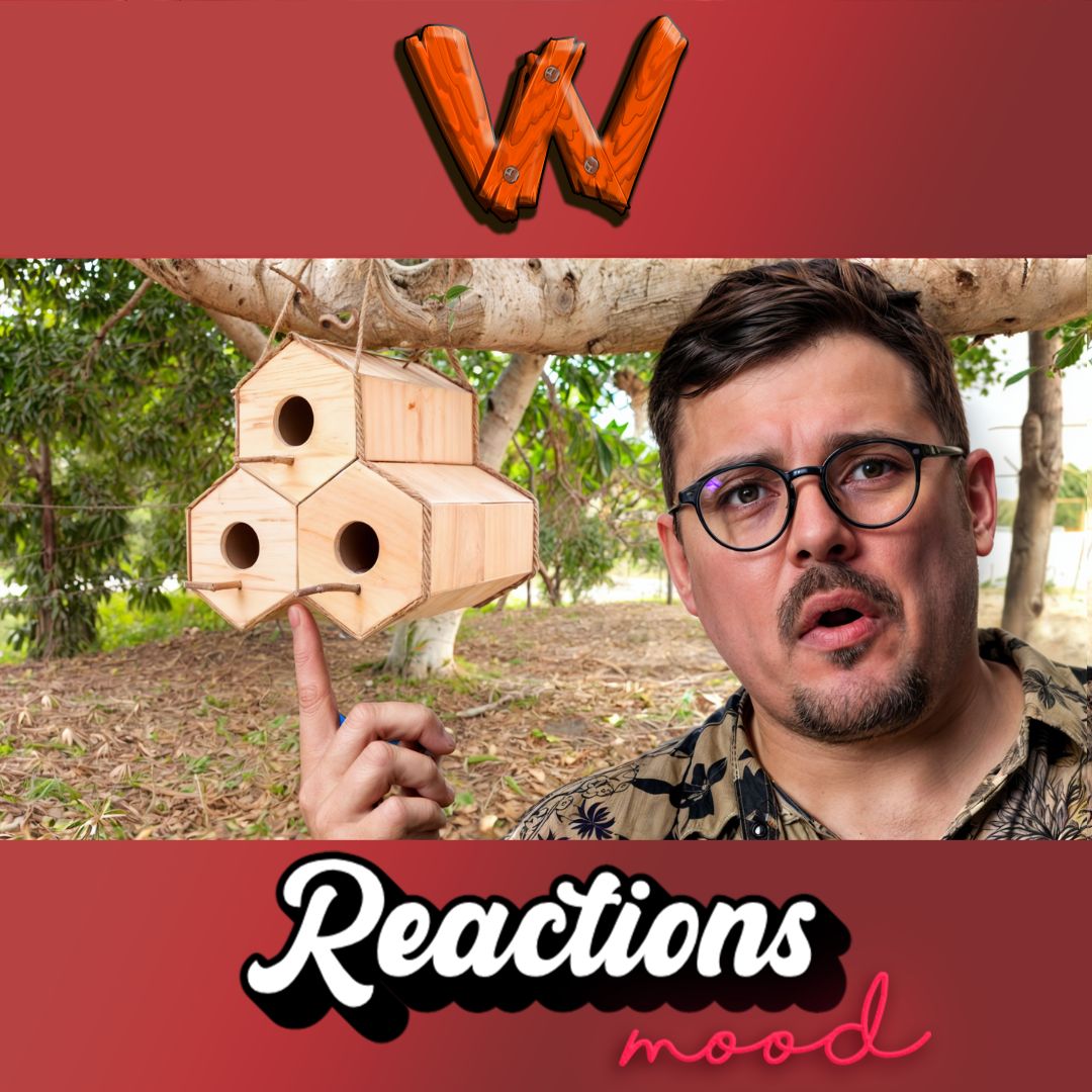 Building Stunning Birdhouses! Crafter Reacts episode artwork