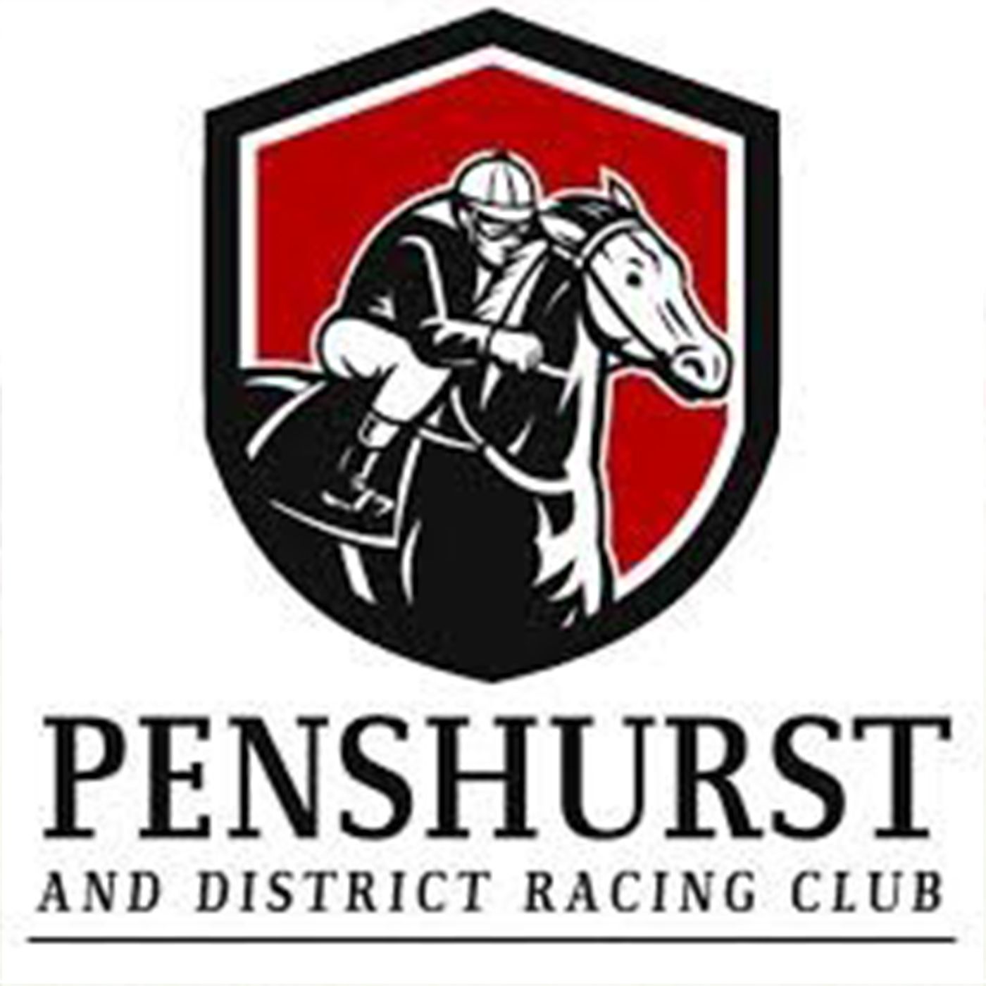 Penshurst Races Pres'  Mick McKinnon chats to Andrew Kuuse episode artwork