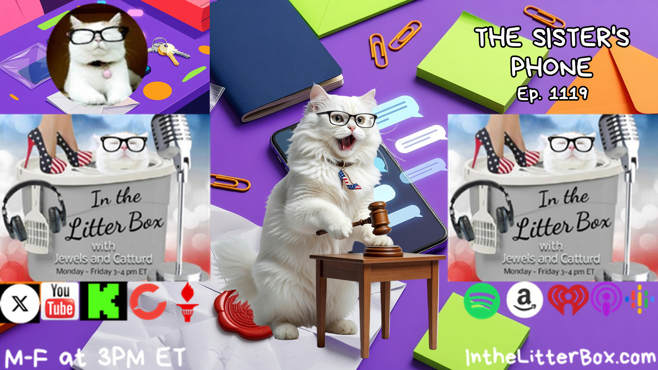 THE SISTER'S PHONE | In the Litter Box w/ Jewels & Catturd – Ep. 1119 – 10/20/2026 episode artwork