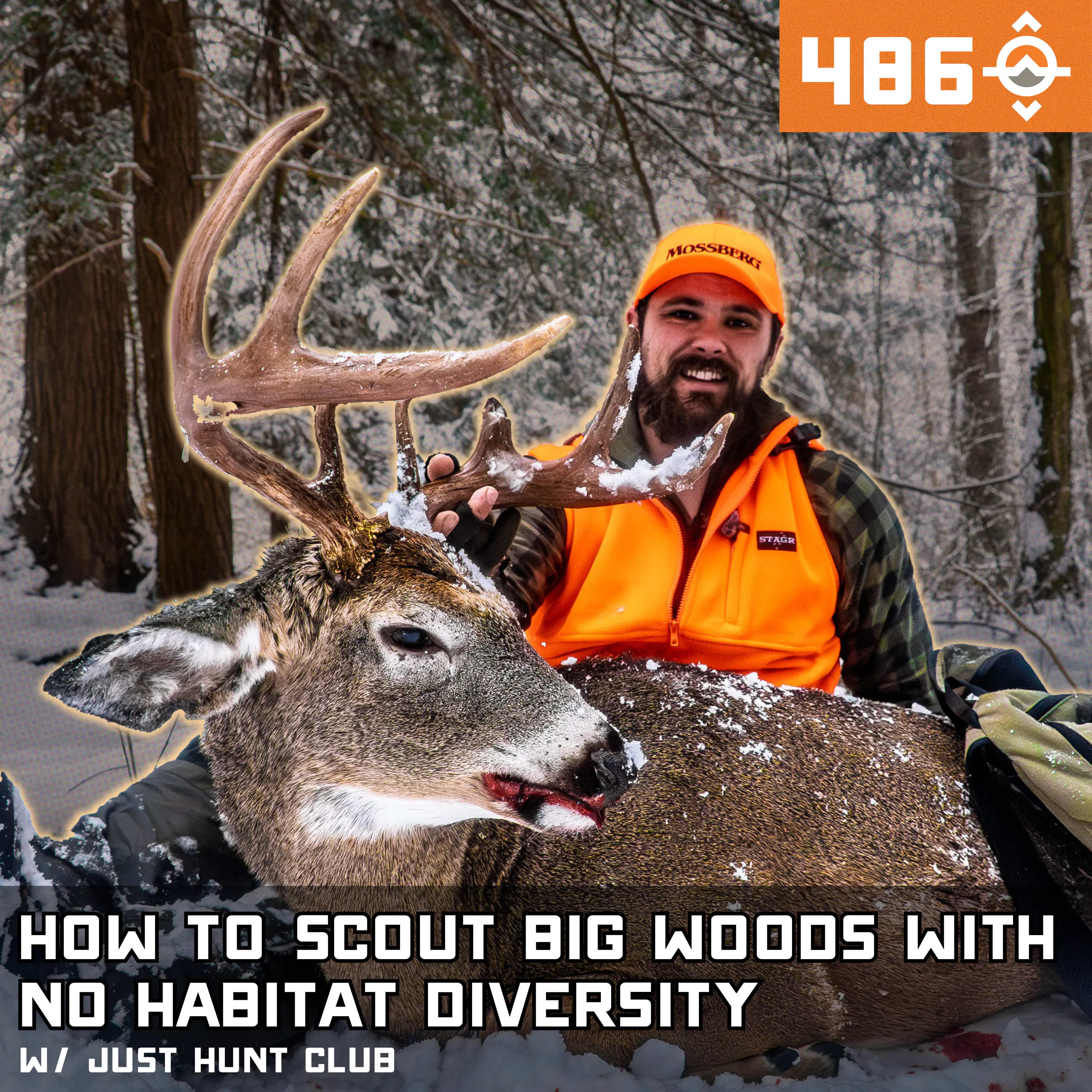 Ep. 486: How We Scout Big Woods with No Habitat Diversity (Real Hunt Breakdown) w/ Just Hunt Club episode artwork