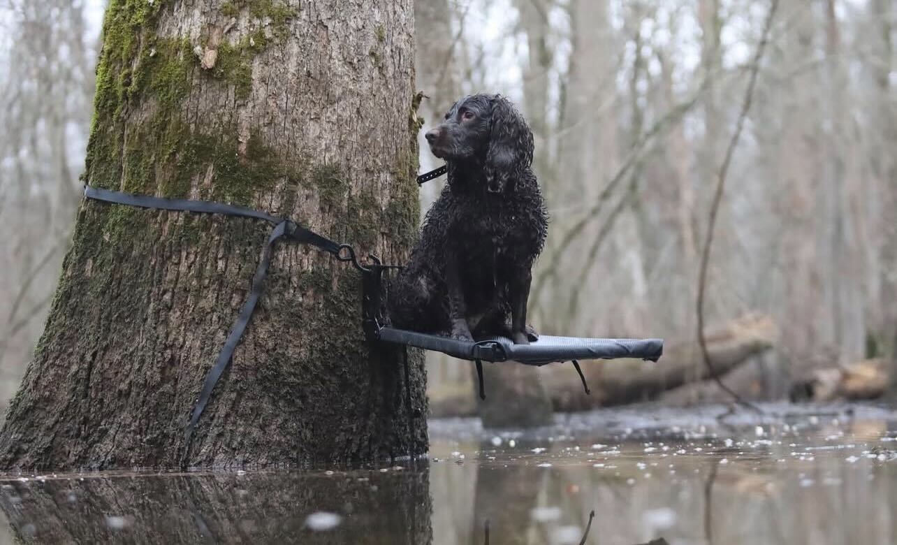 E 268. Duck Hunting Innovations with Rixey Outdoors