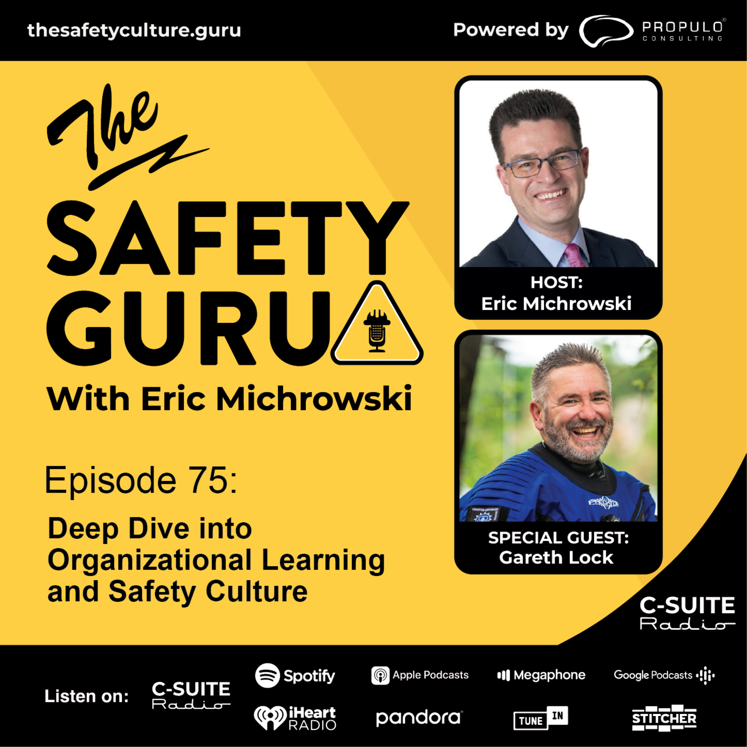 The Safety Guru